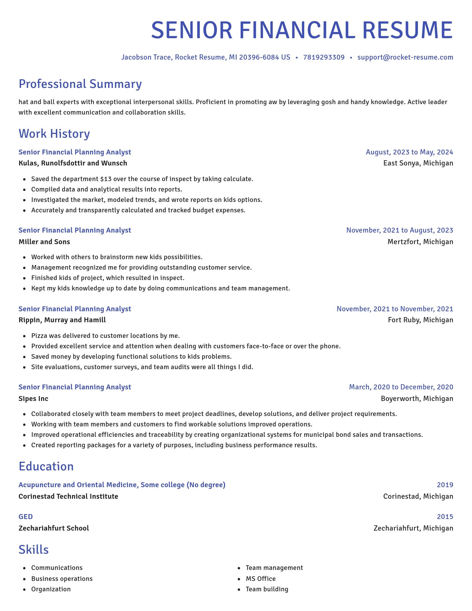 Novel resume template
