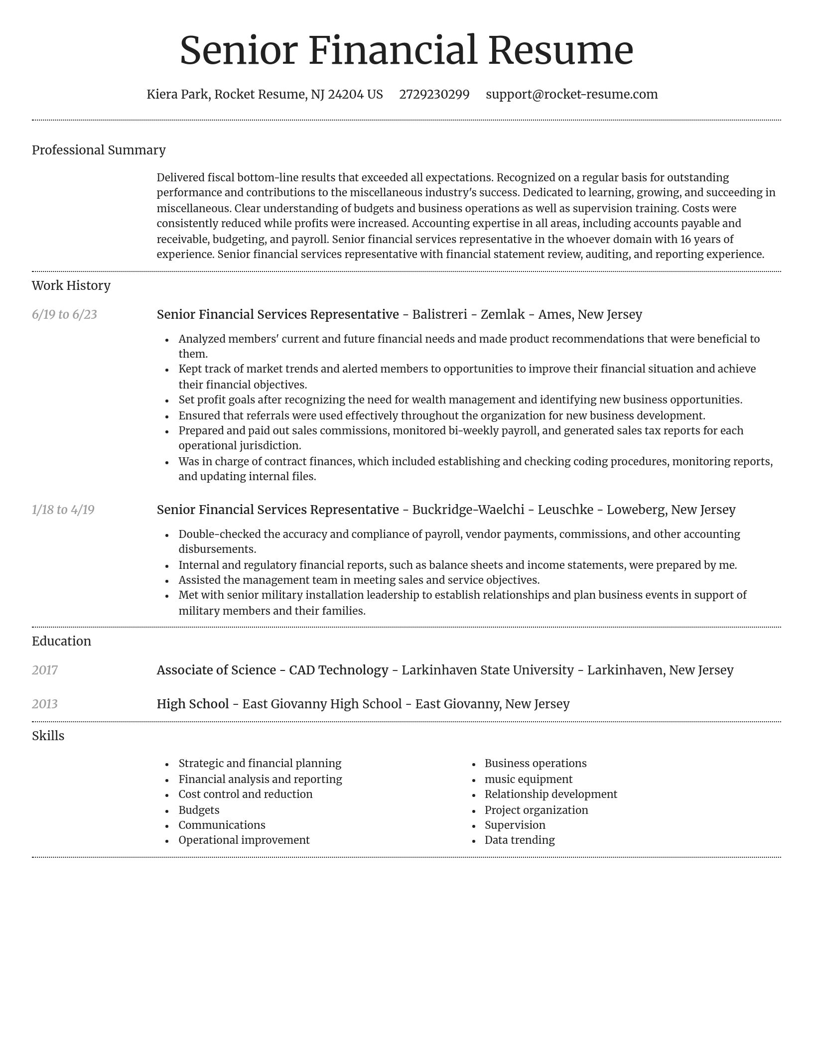 Dignified resume template