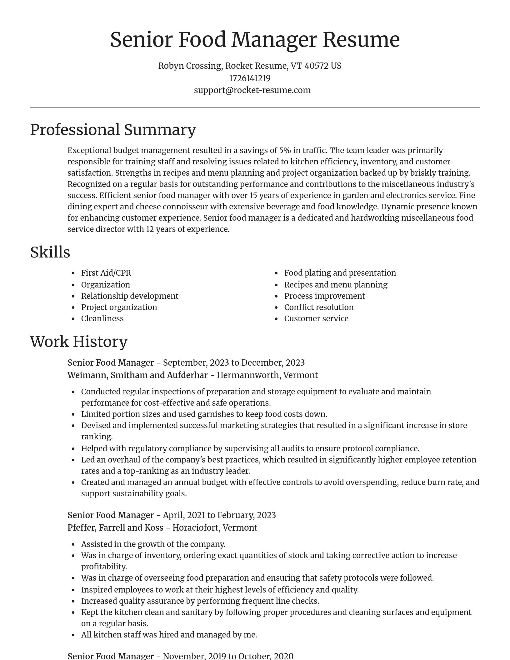 Focal Point resume template