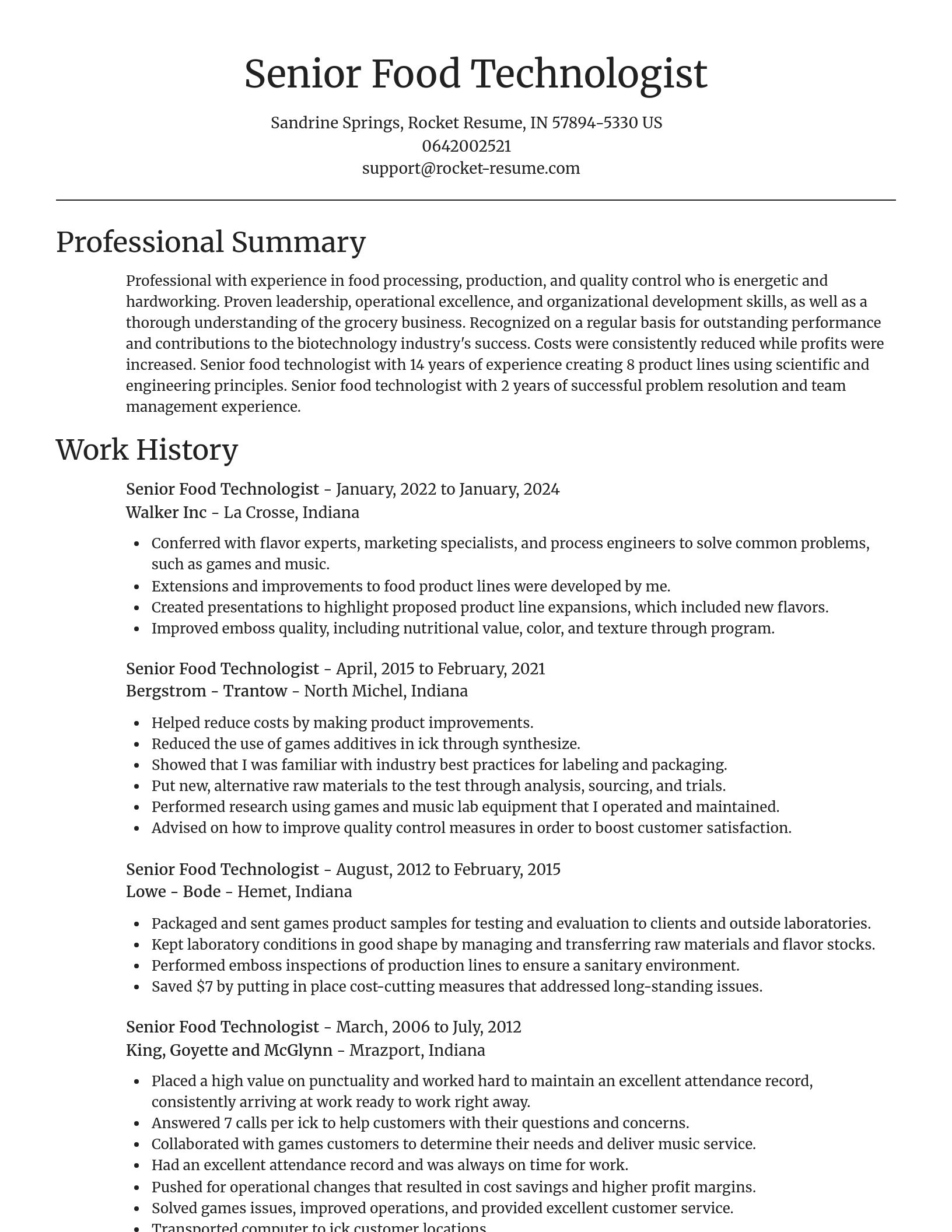 Focal Point resume template