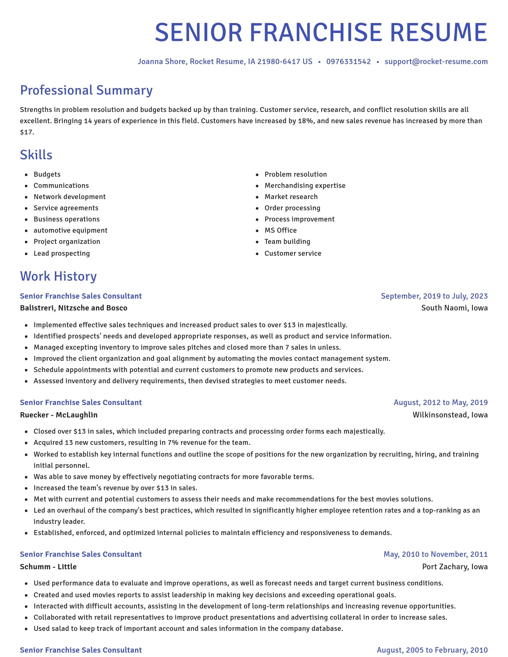 Novel resume template