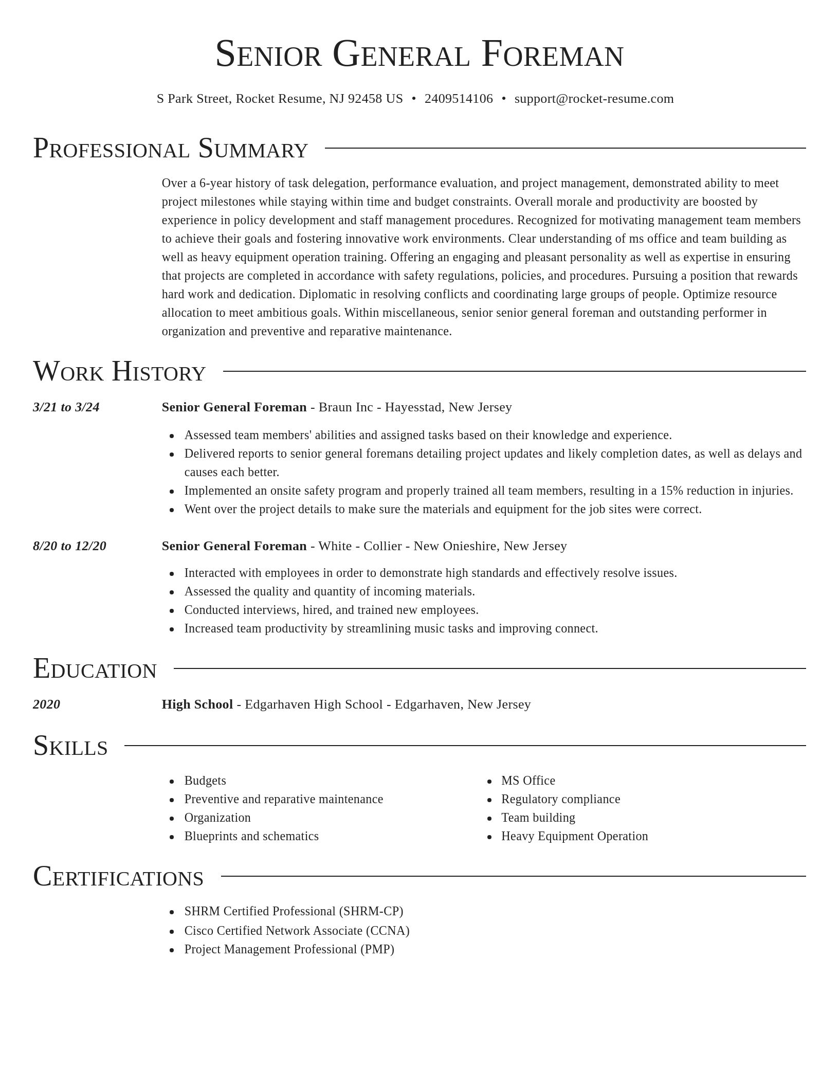 Director resume template