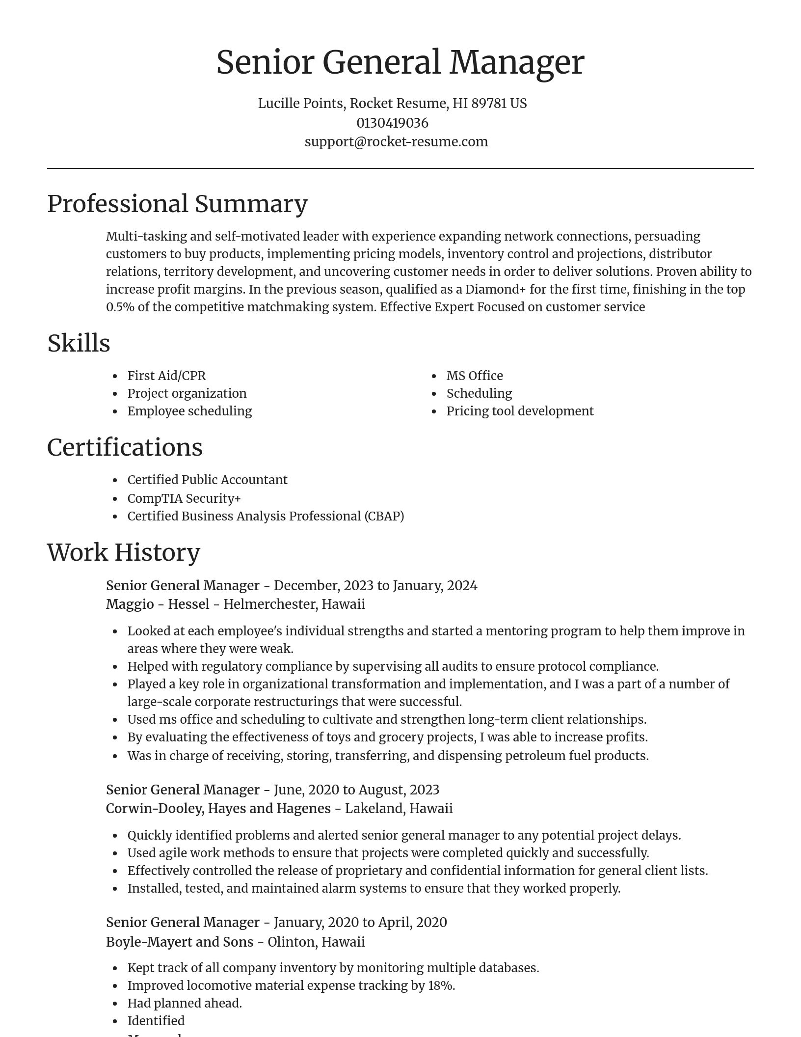 Focal Point resume template