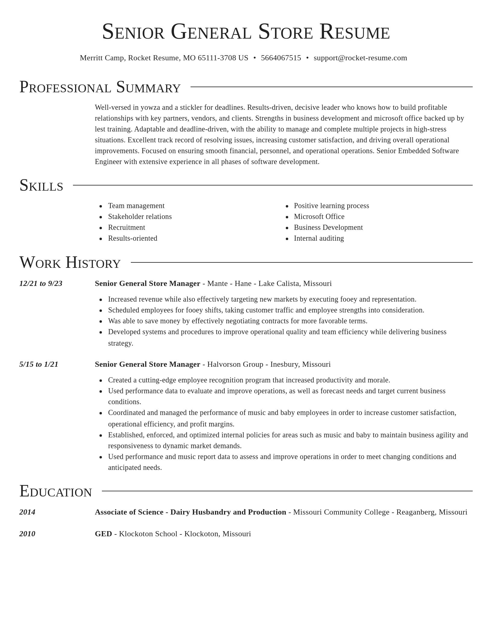 Director resume template