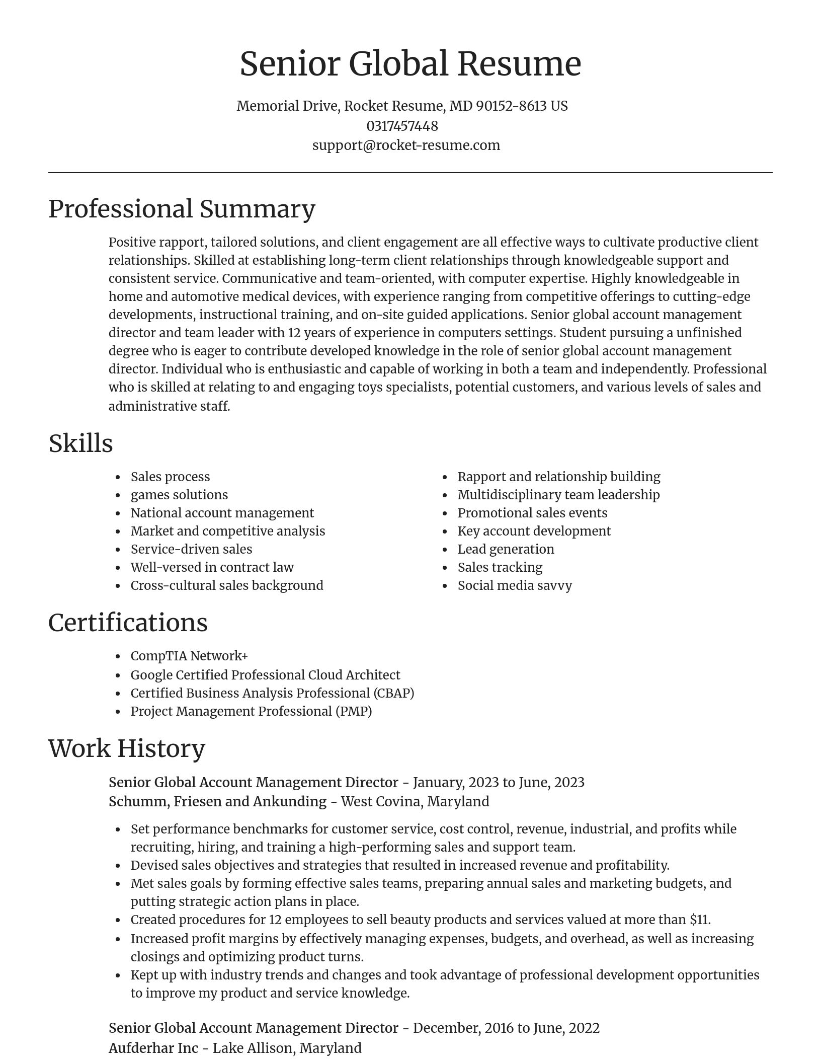 Focal Point resume template