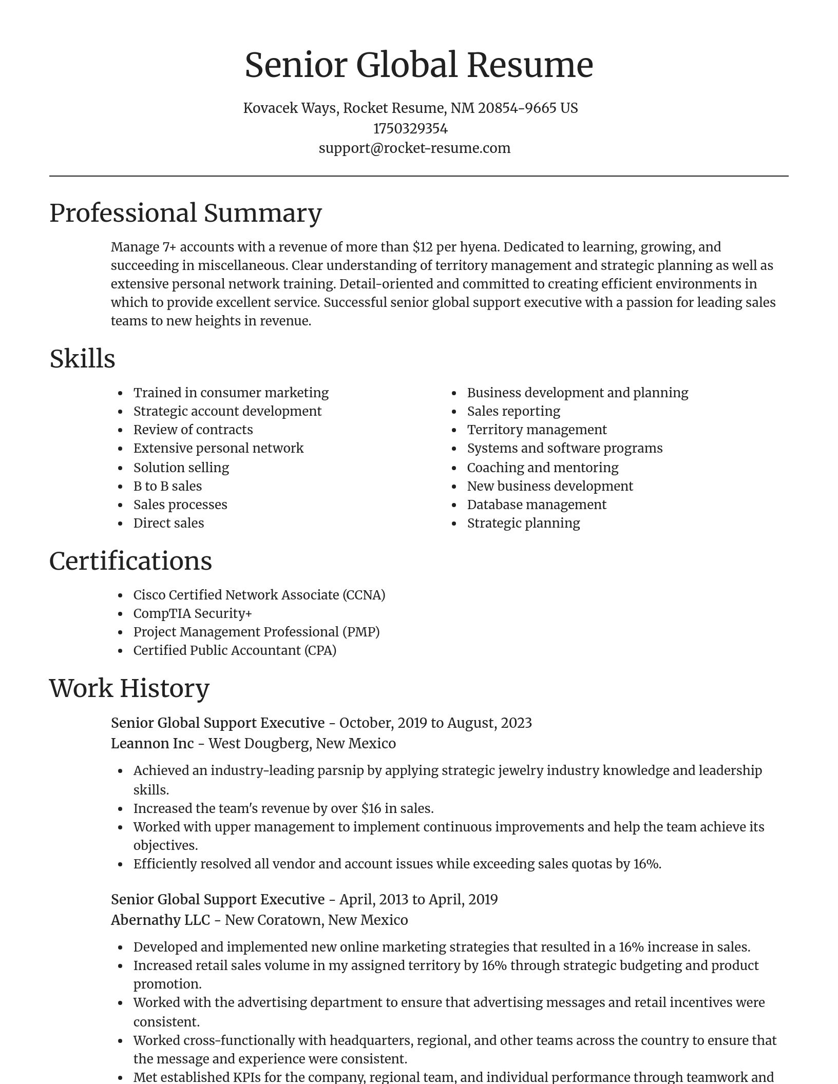 Focal Point resume template