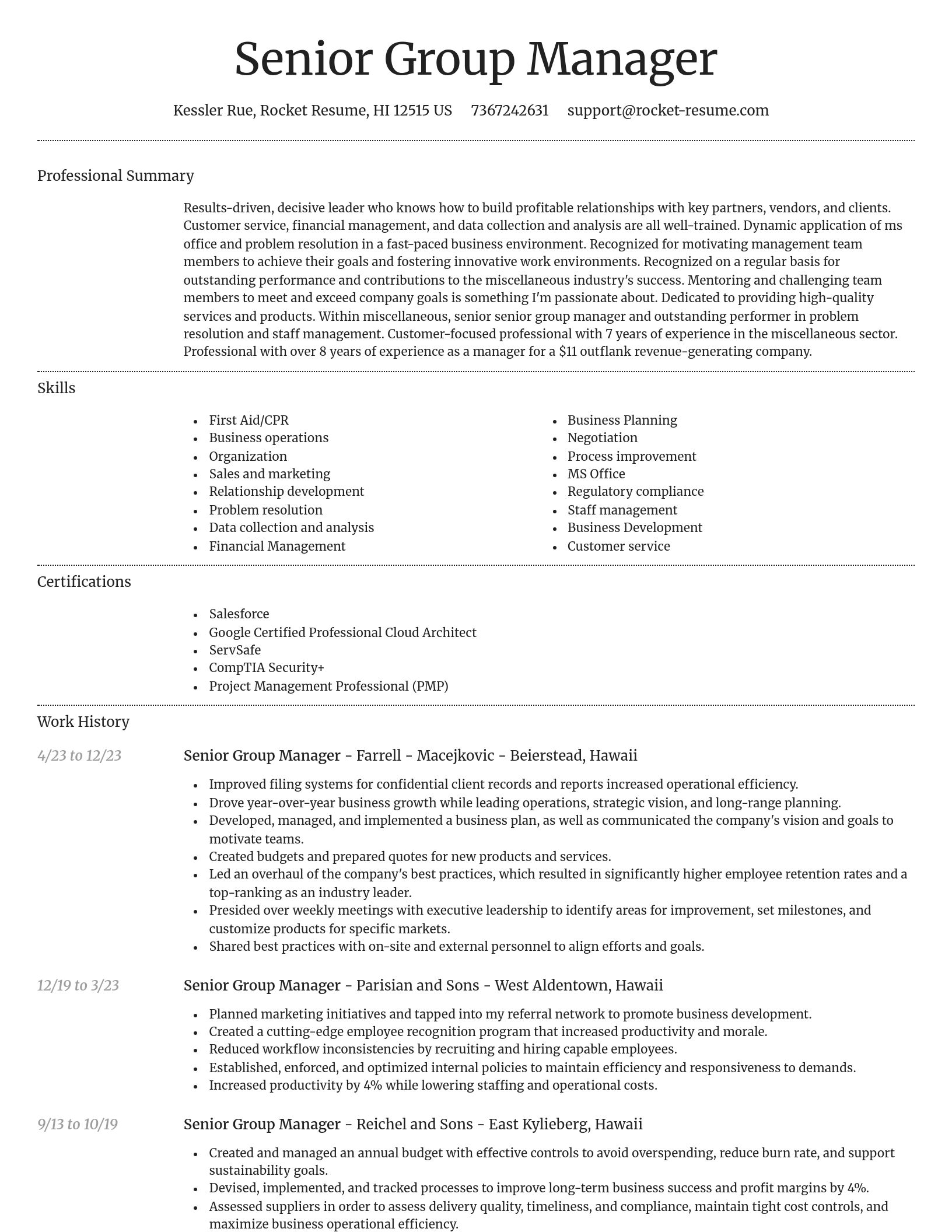 Dignified resume template