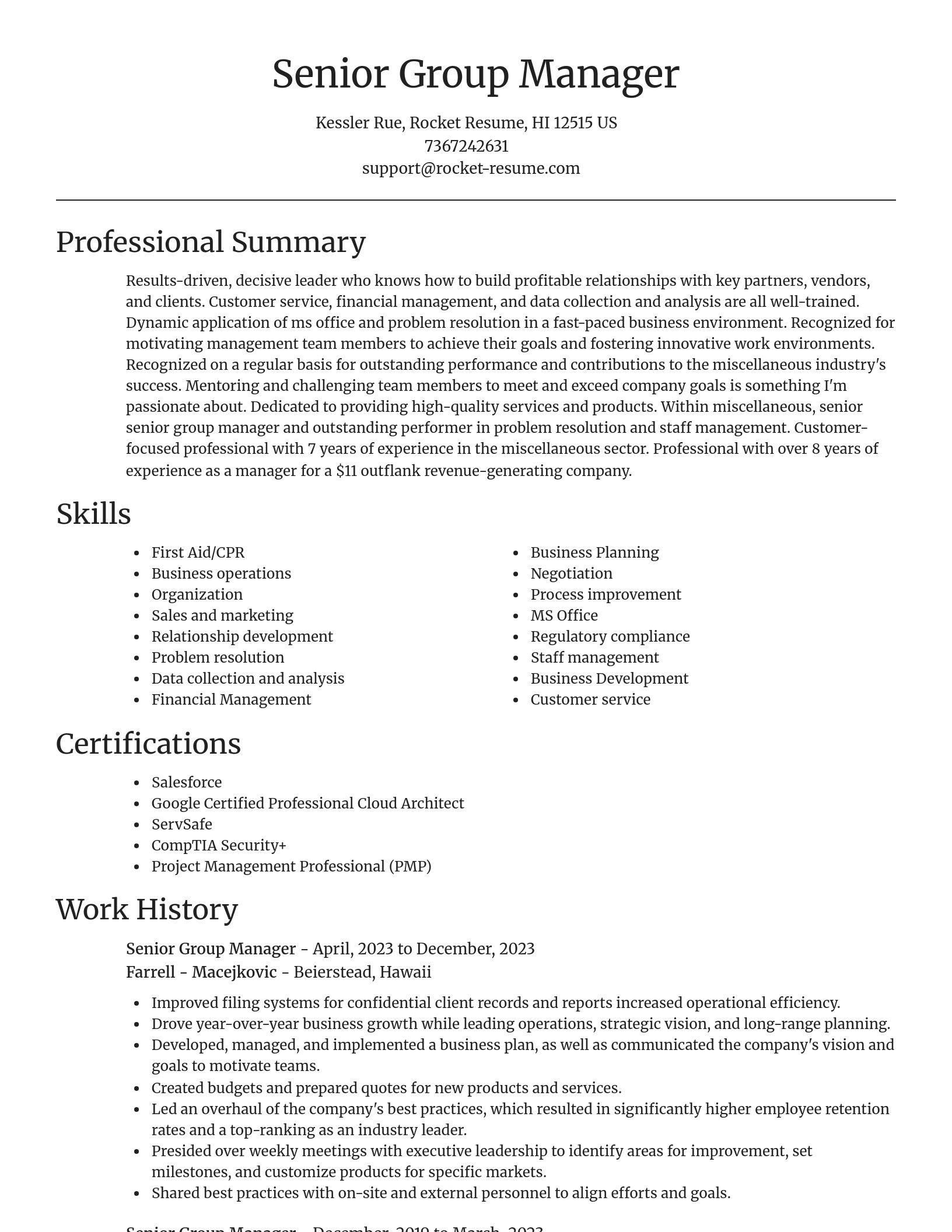 Focal Point resume template