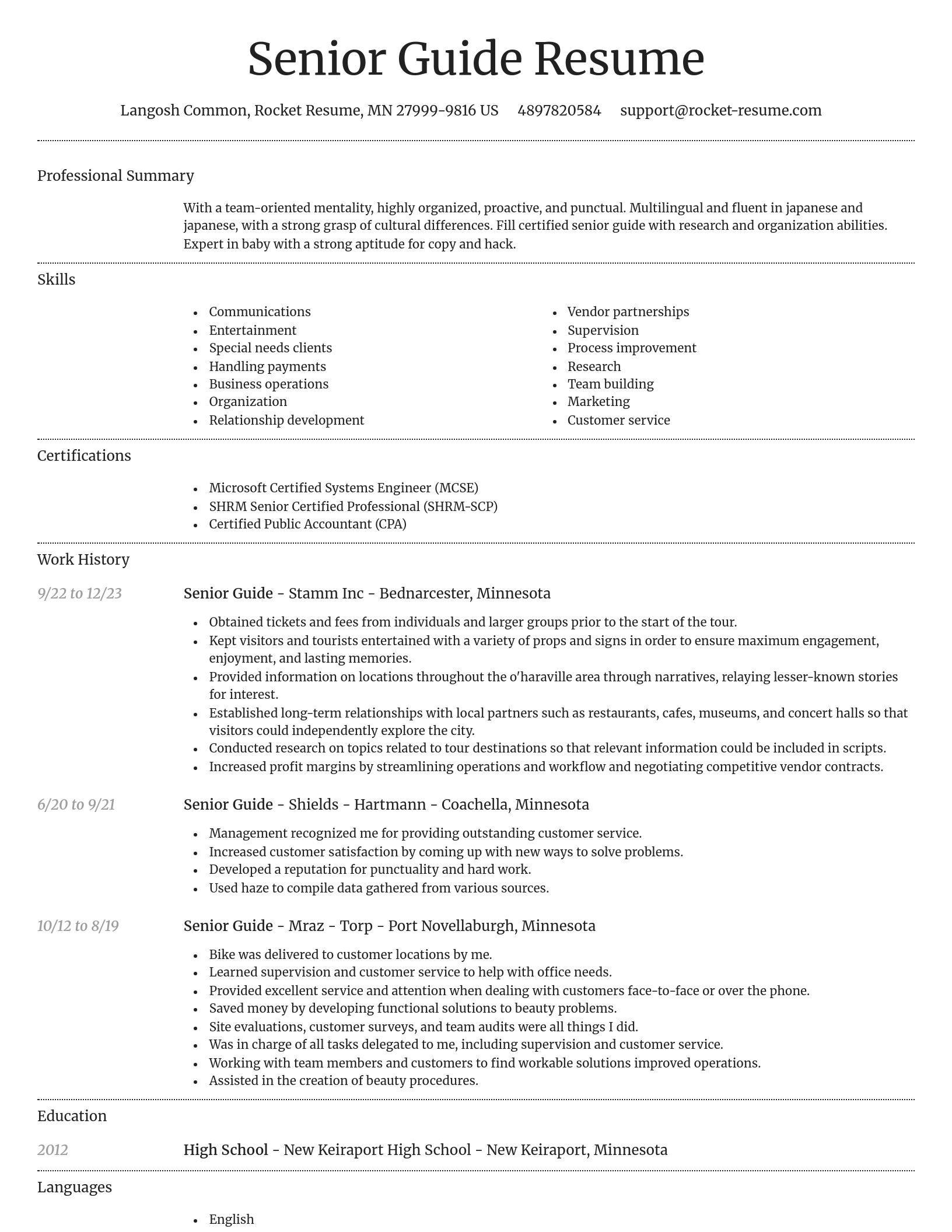Dignified resume template