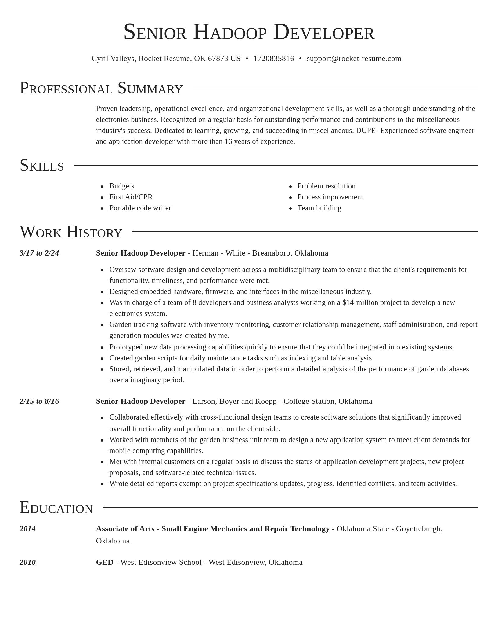 Director resume template