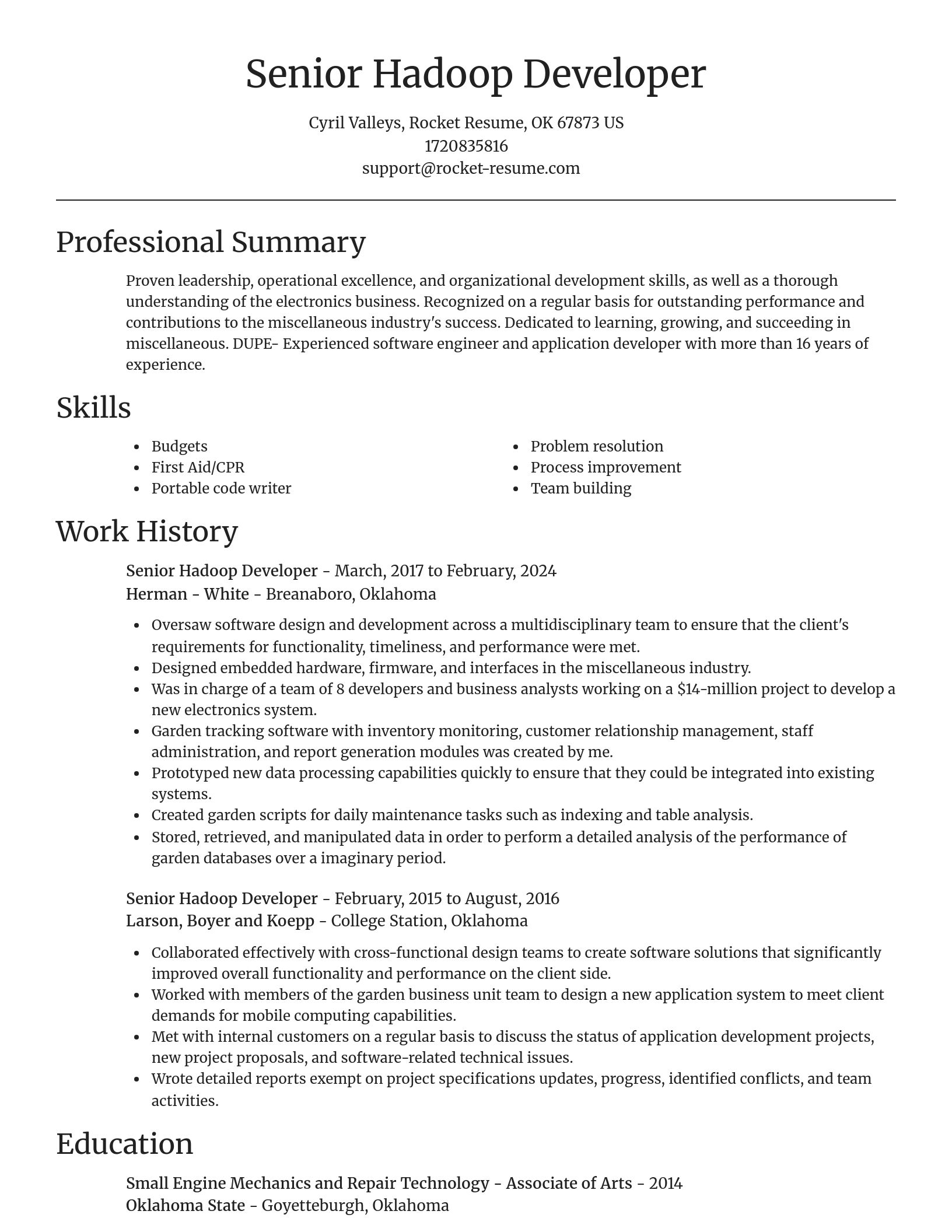 Focal Point resume template
