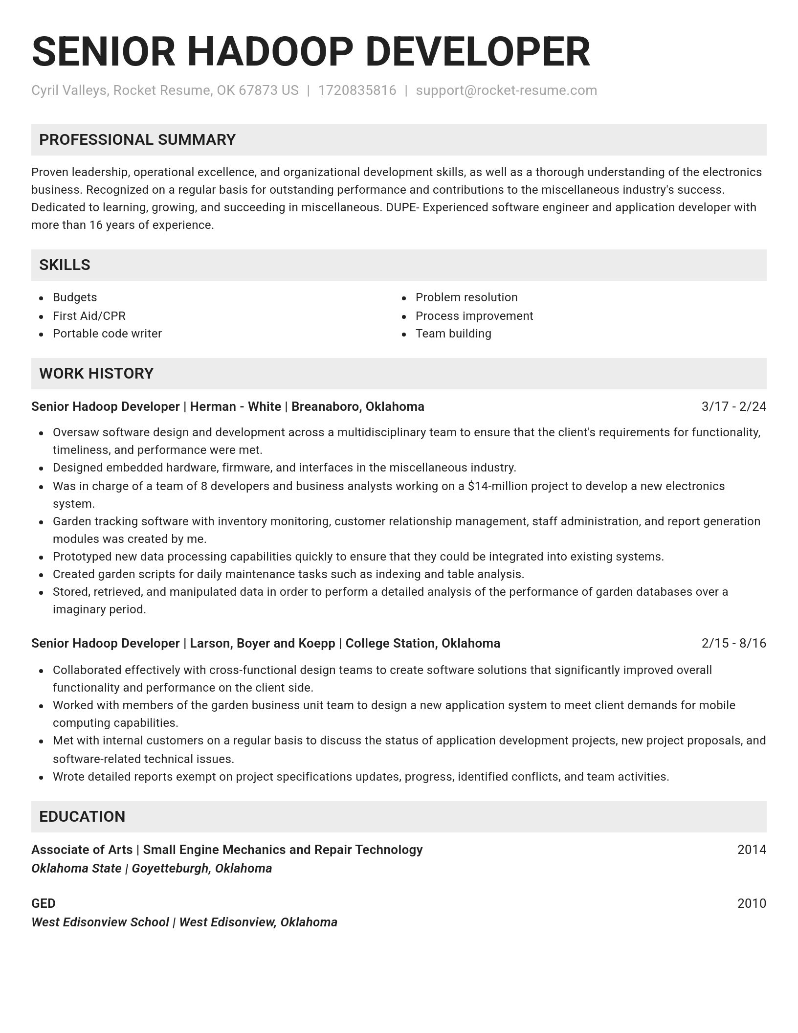 Genius resume template