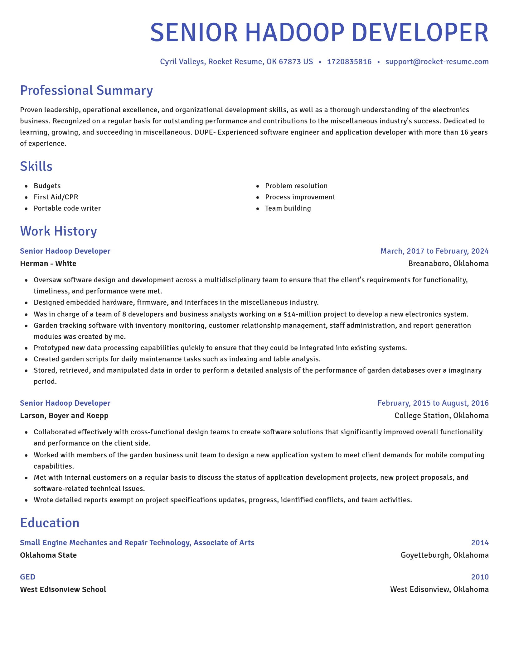 Novel resume template