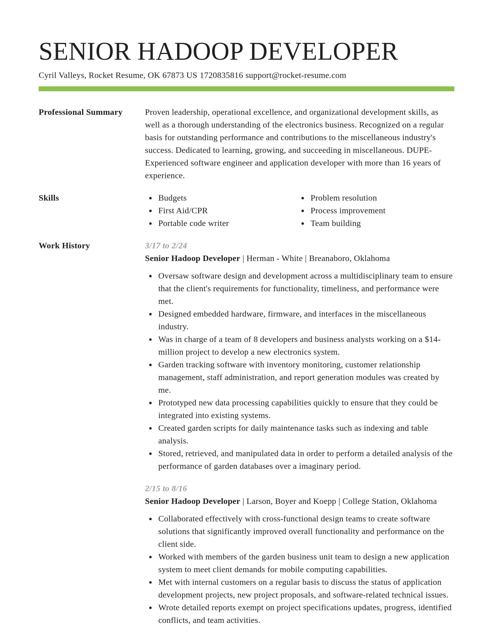 Smart resume template