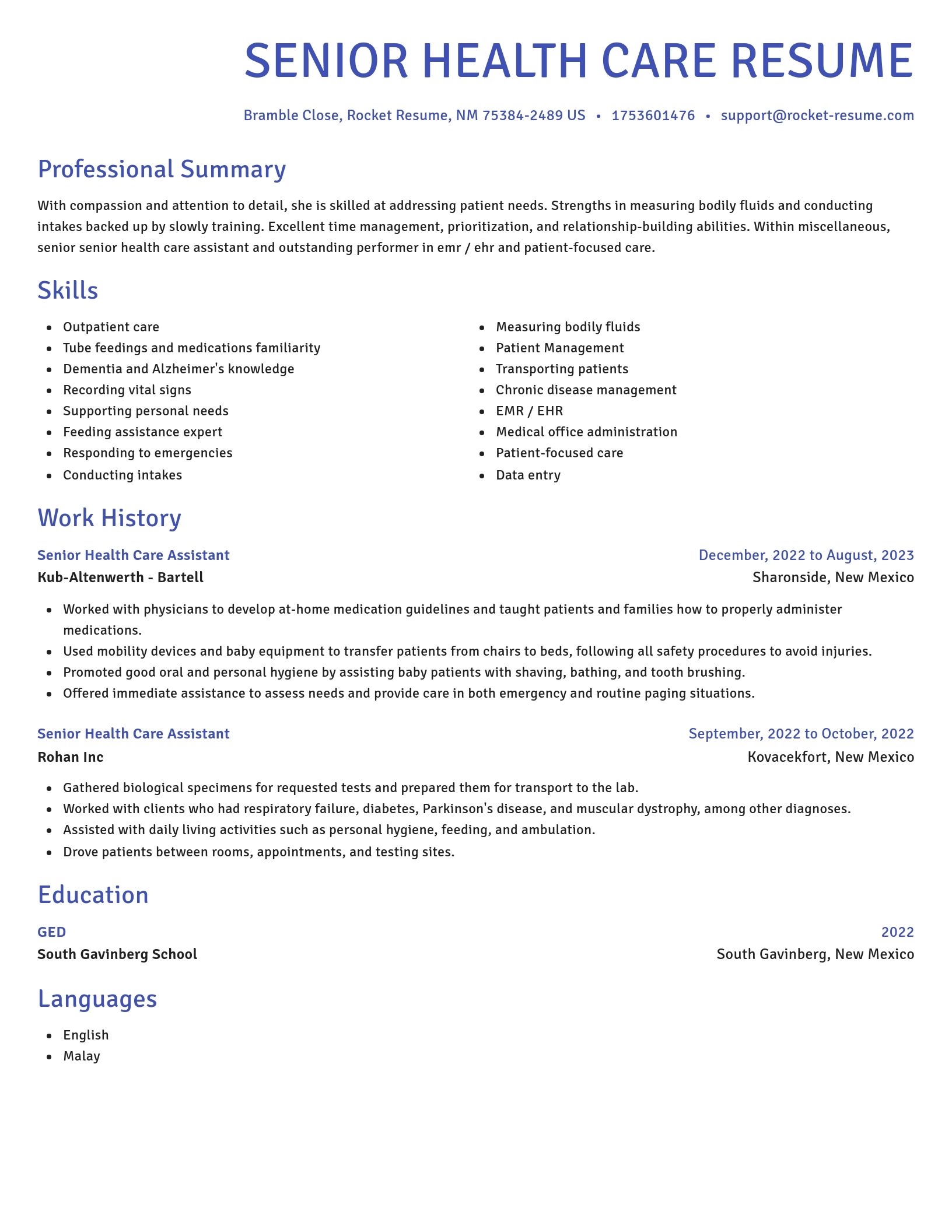 Novel resume template