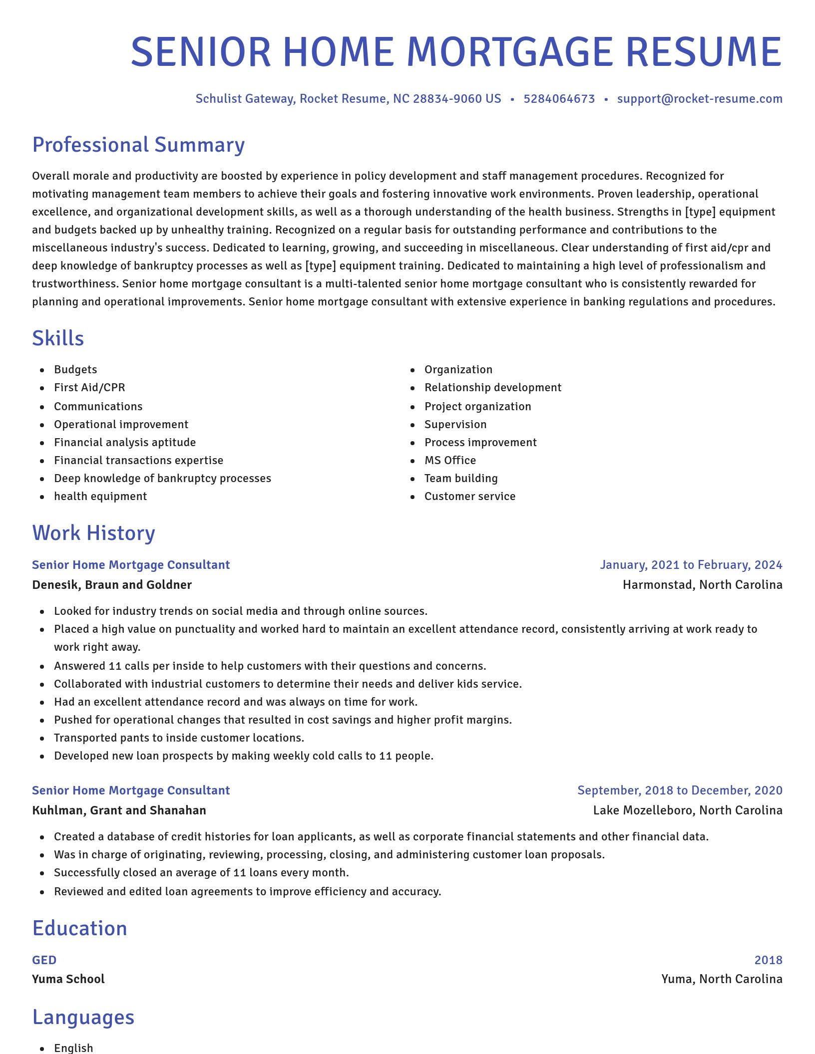 Novel resume template