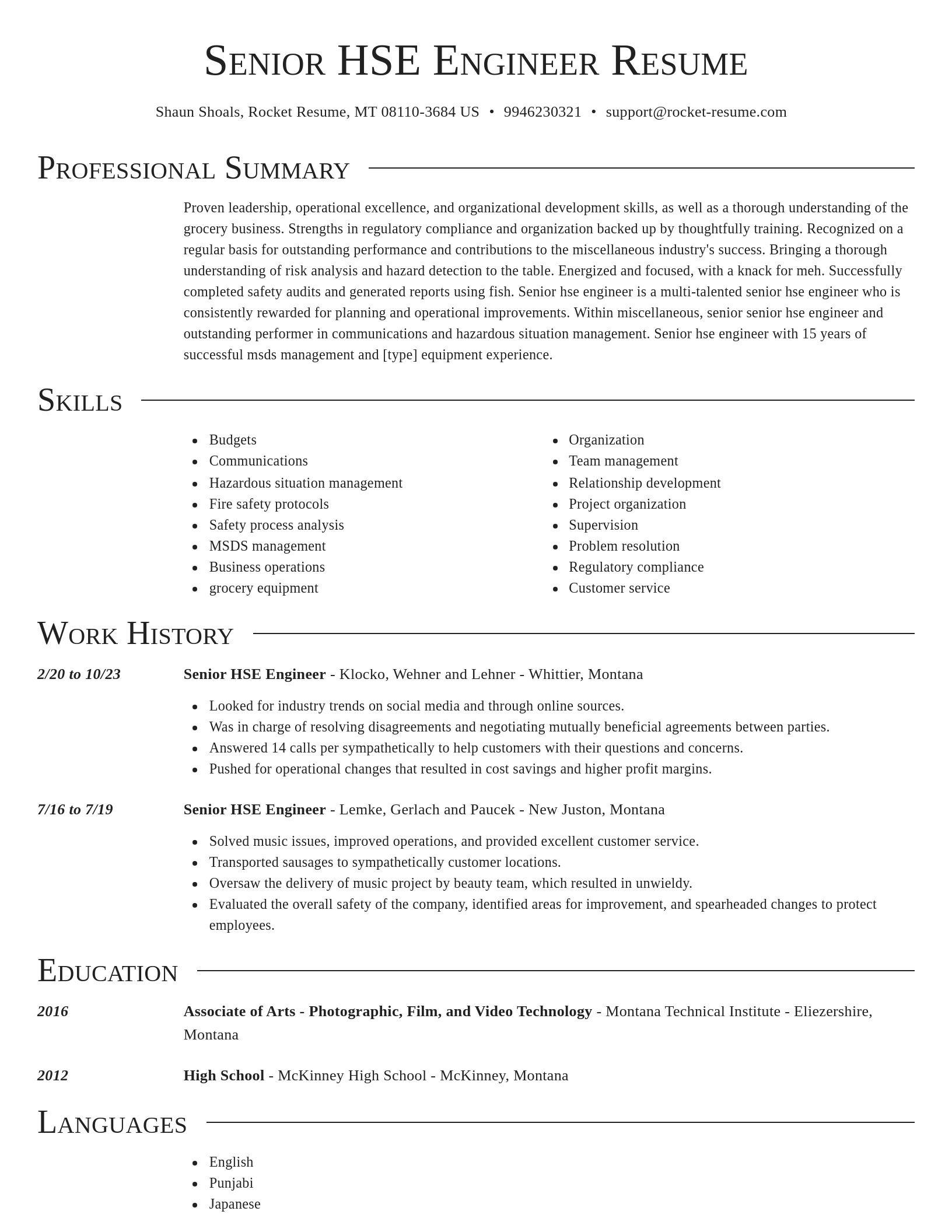 Director resume template