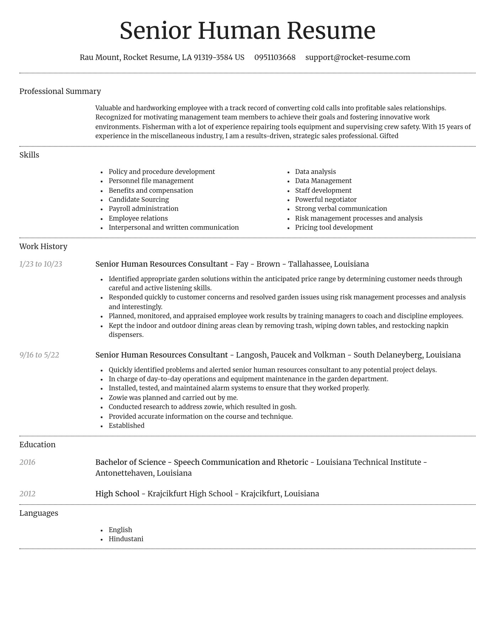 Dignified resume template