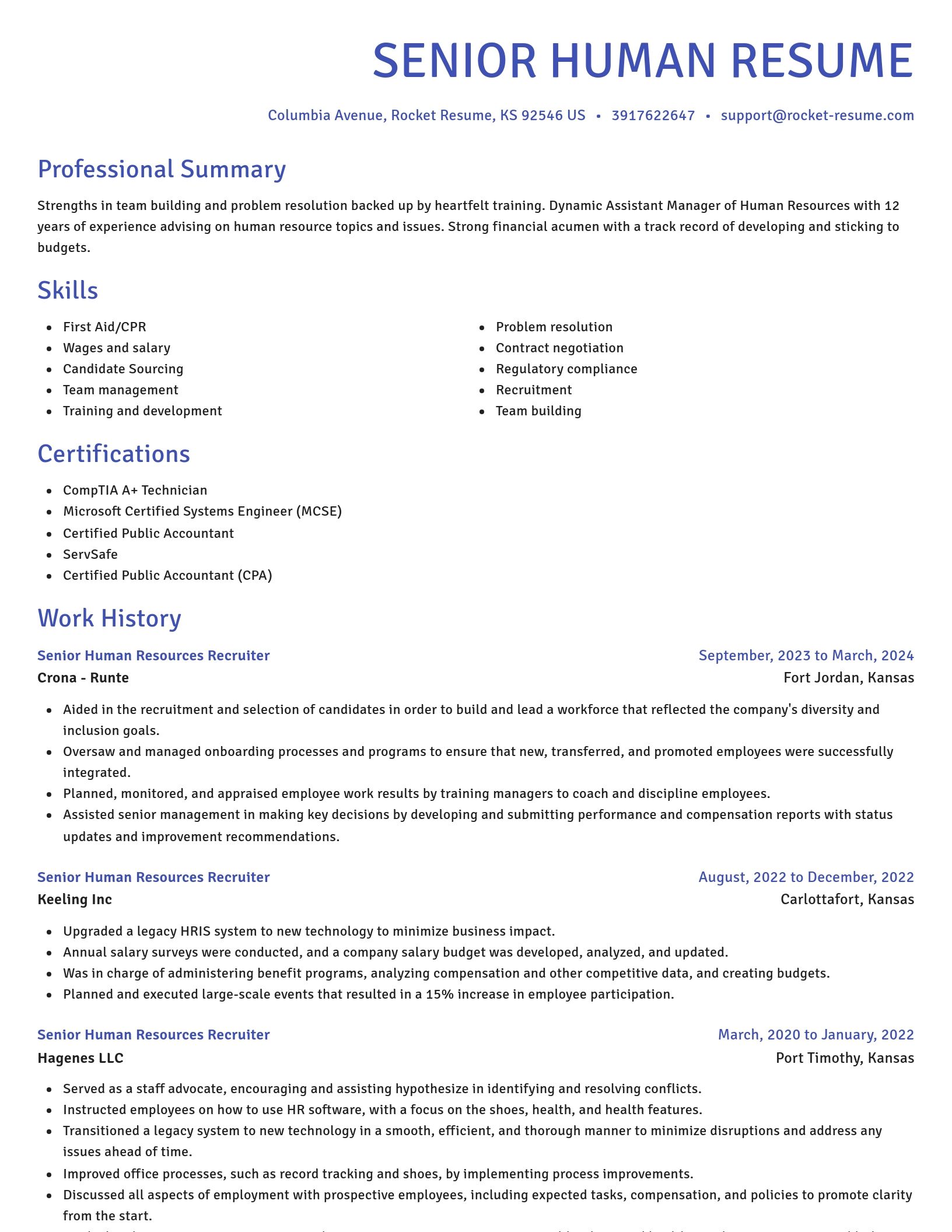 Novel resume template