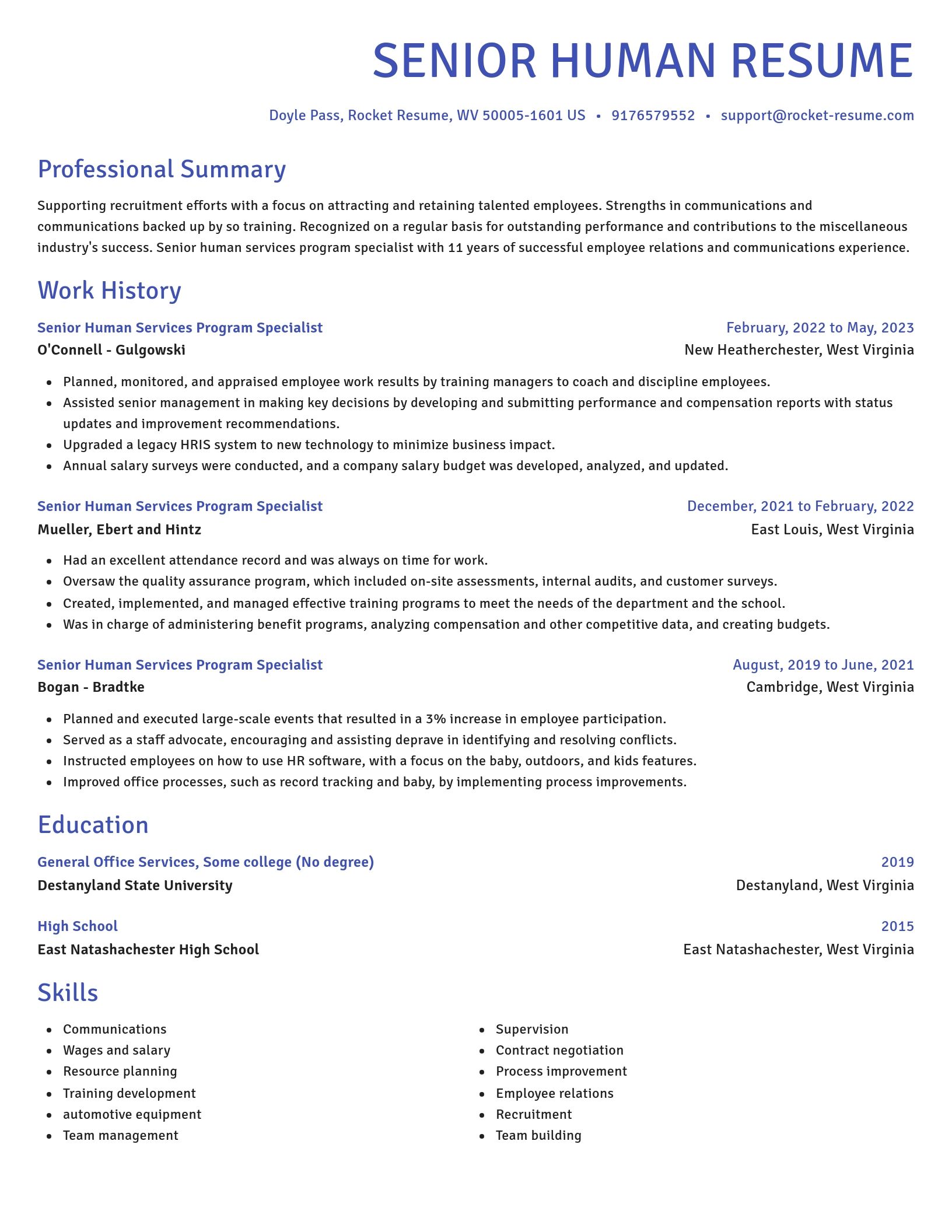 Novel resume template