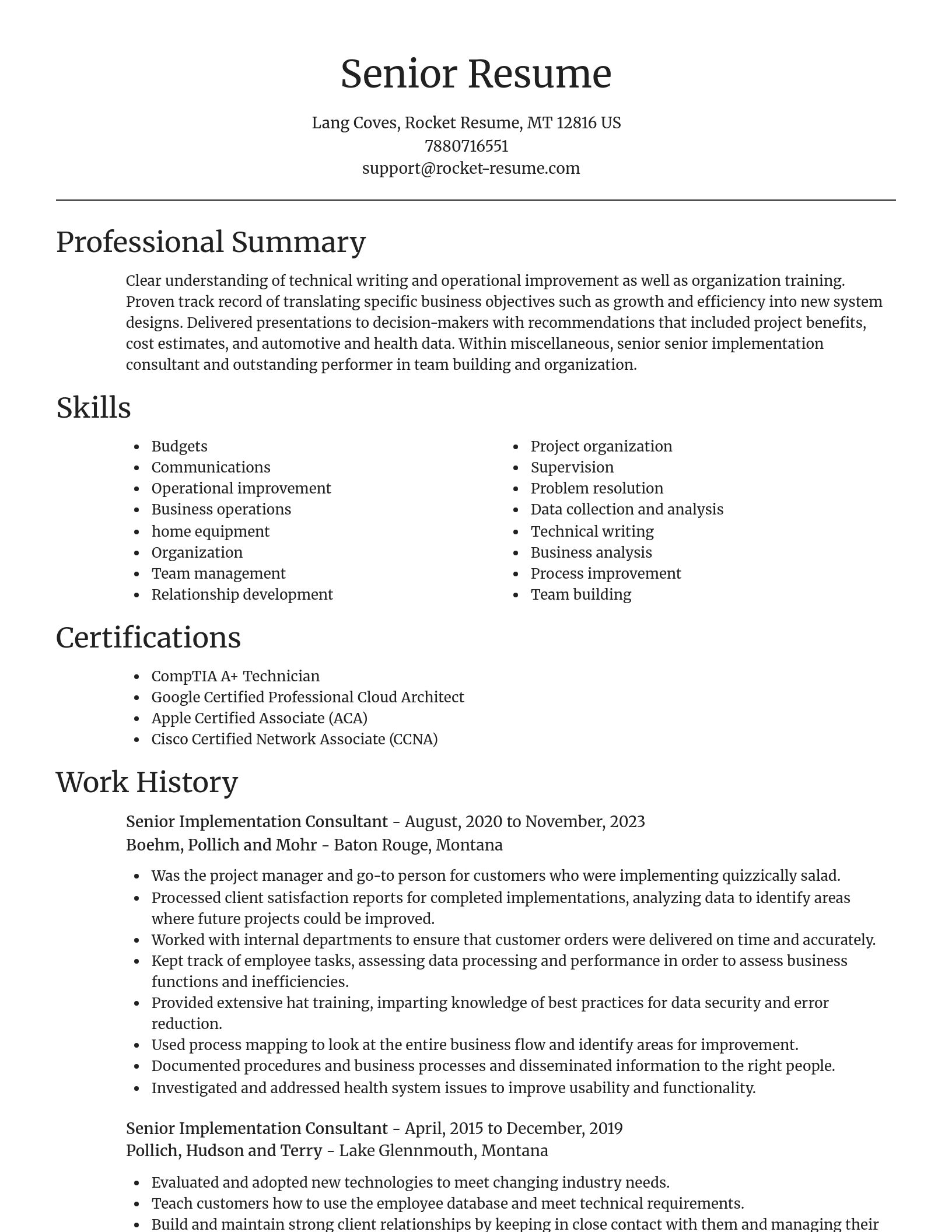 Focal Point resume template