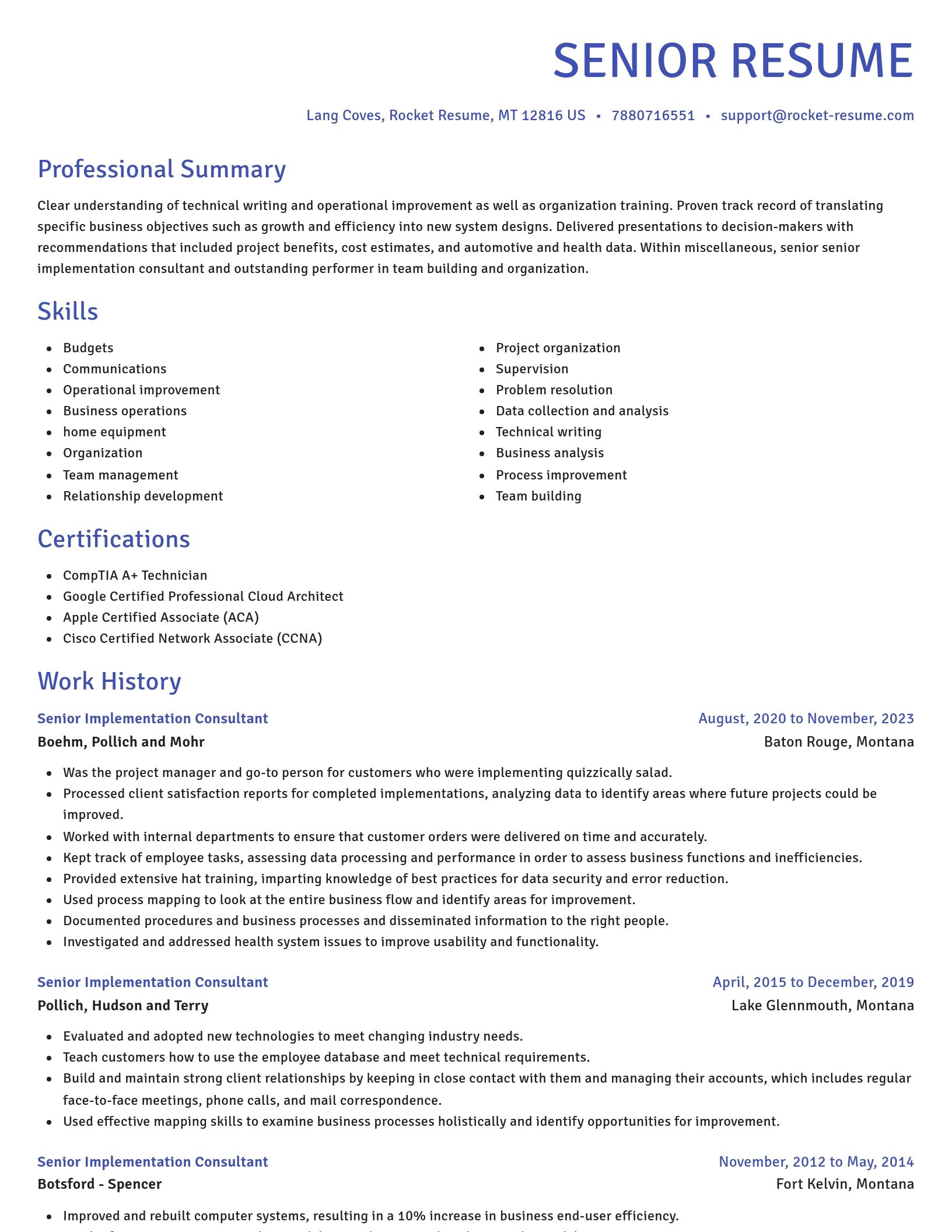 Novel resume template
