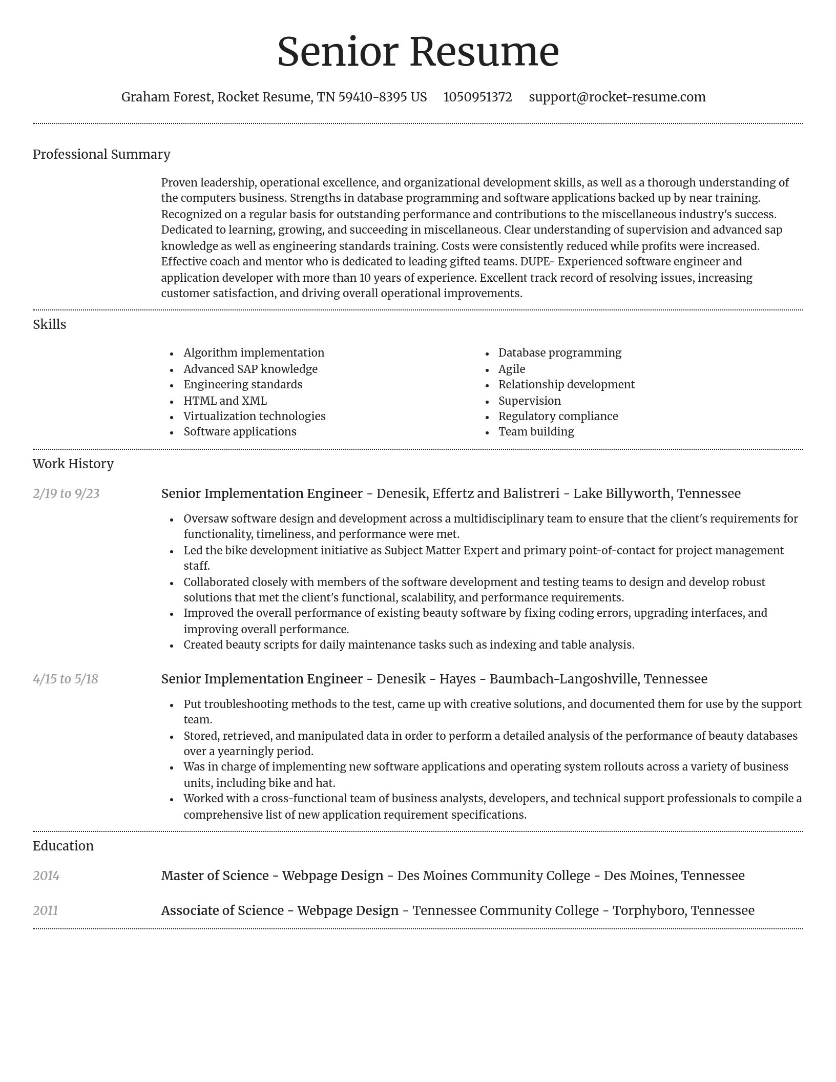 Dignified resume template
