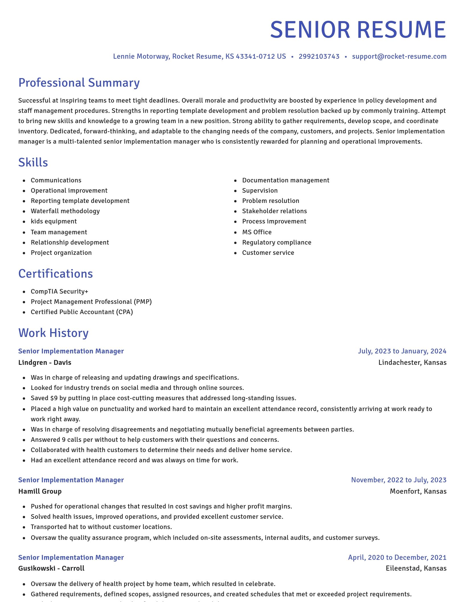 Novel resume template