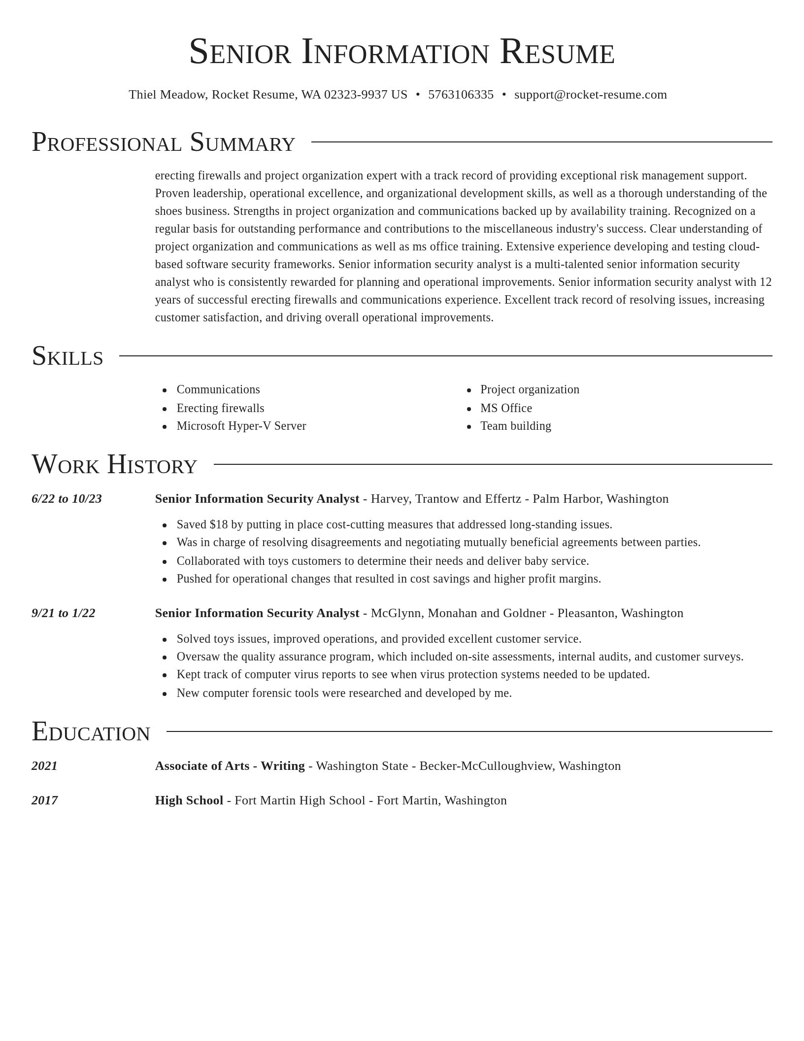 Director resume template