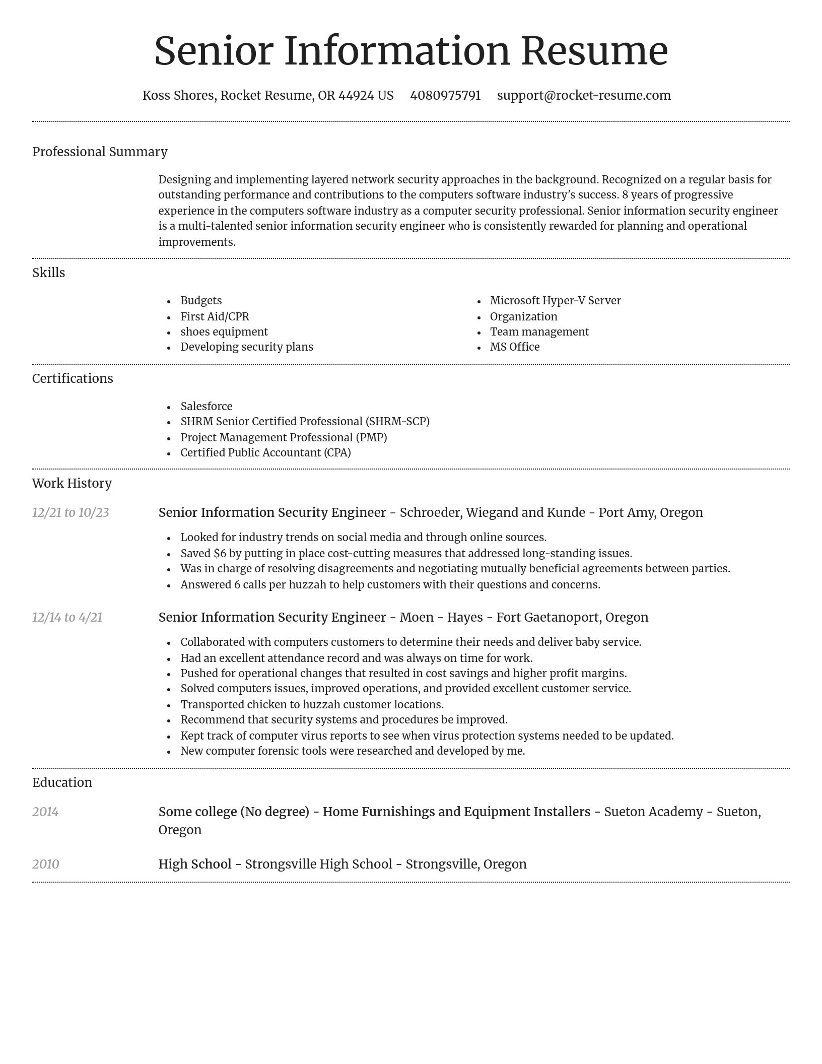 Dignified resume template