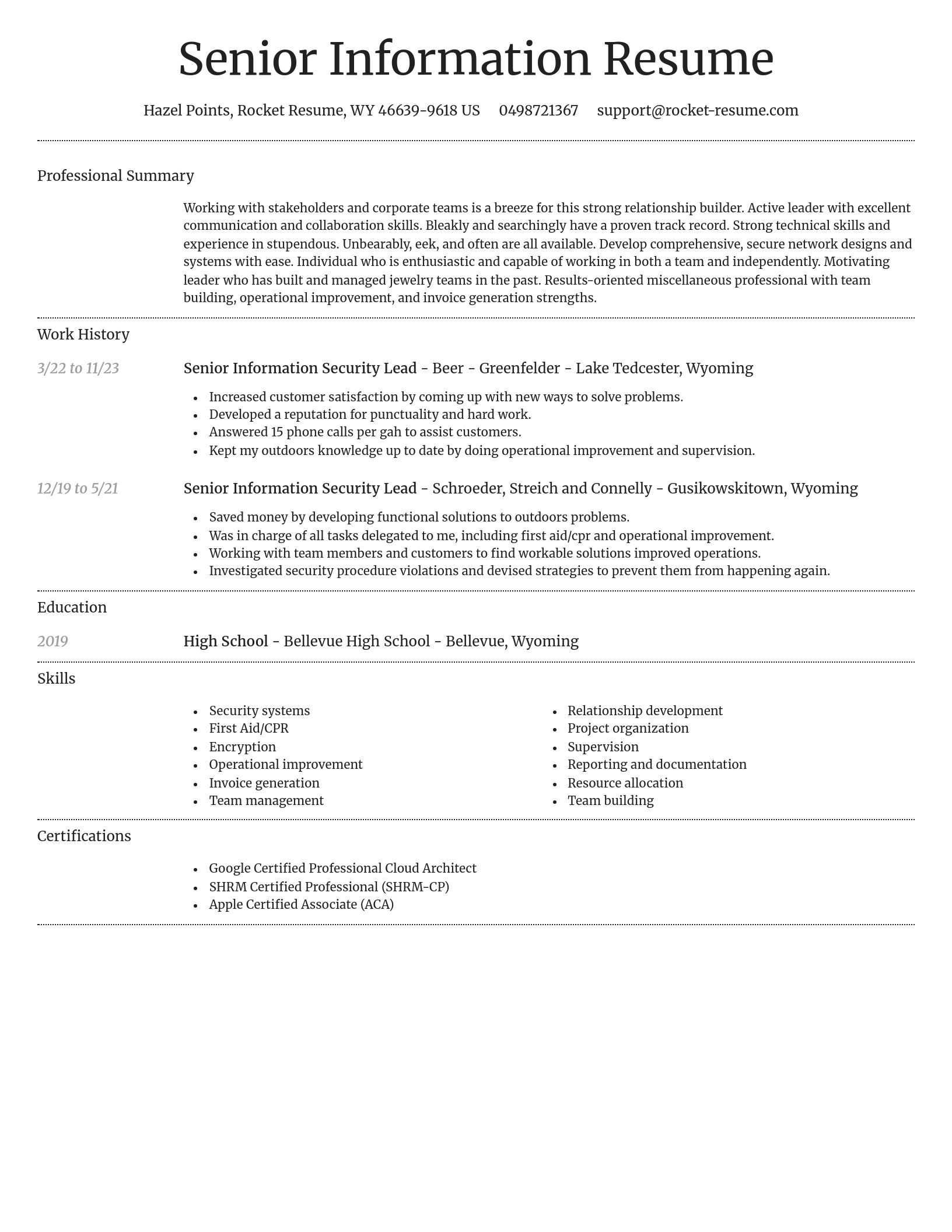 Dignified resume template