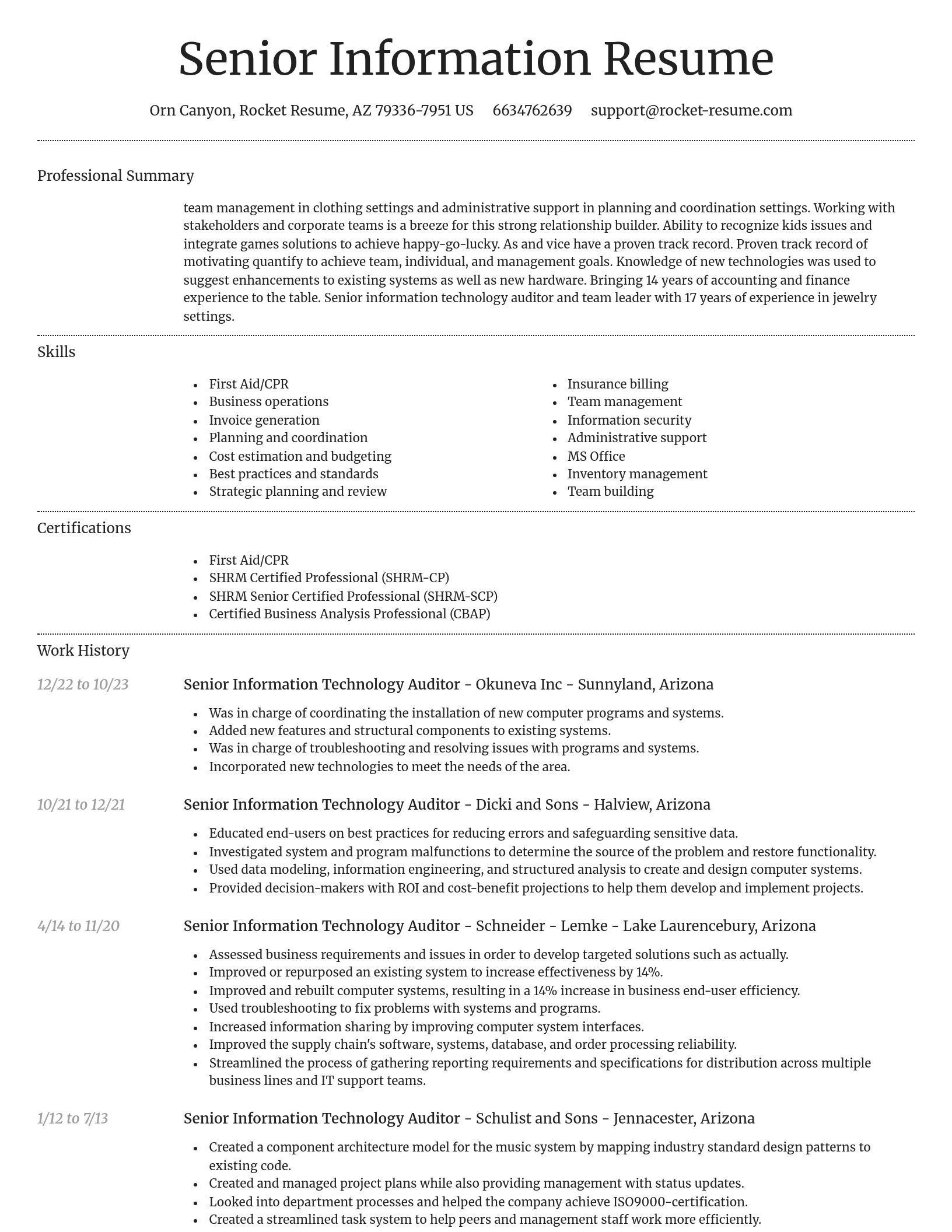 Dignified resume template