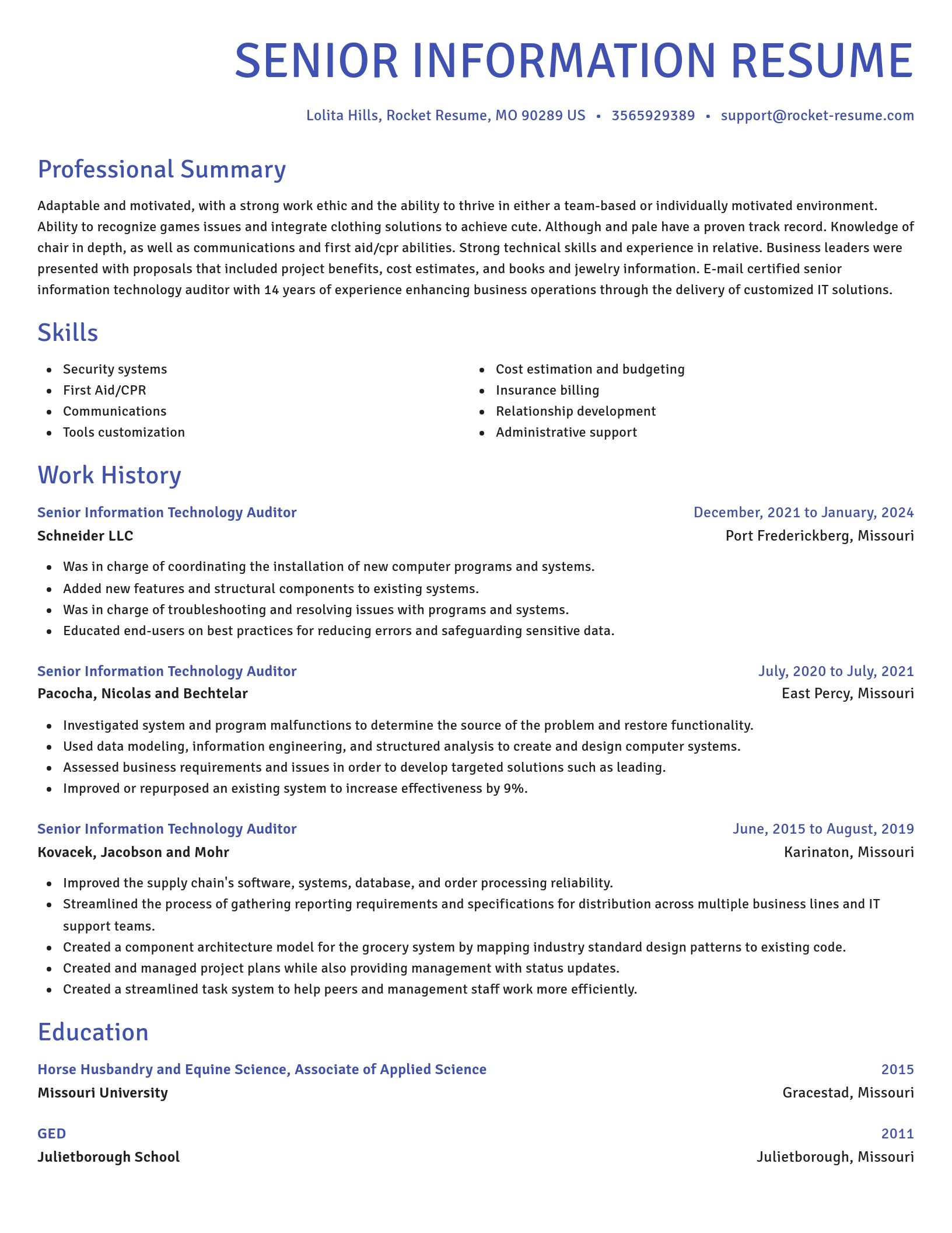 Novel resume template