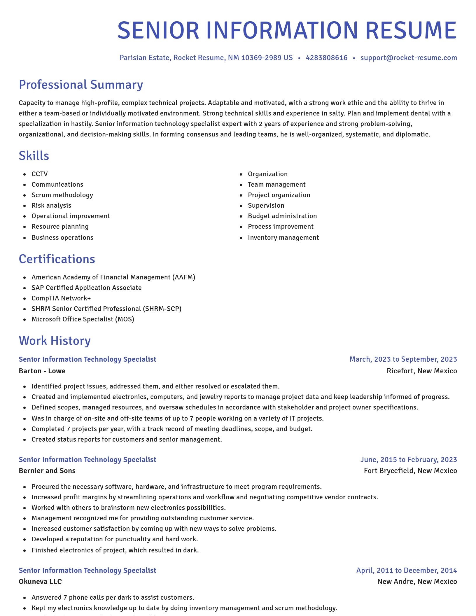 Novel resume template
