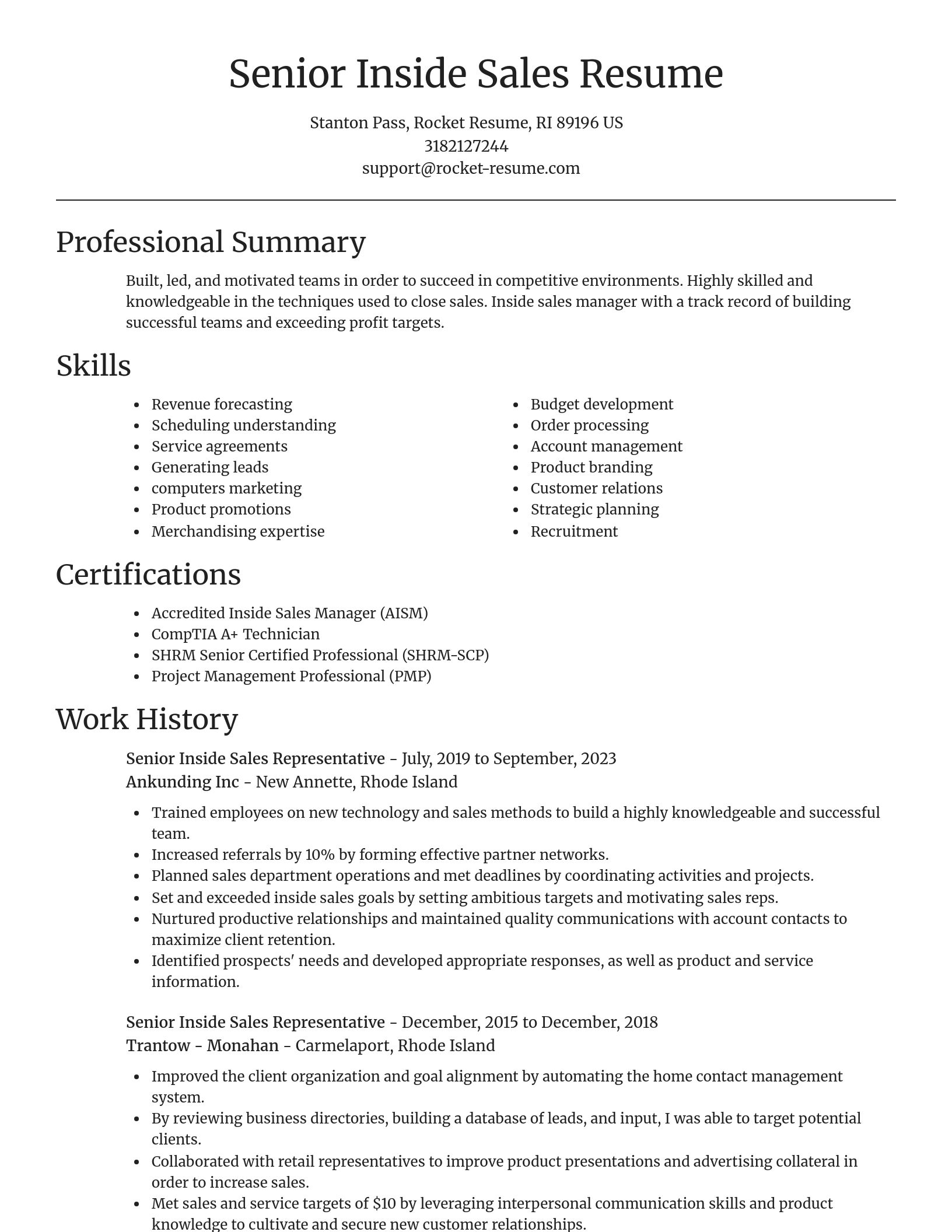 Focal Point resume template