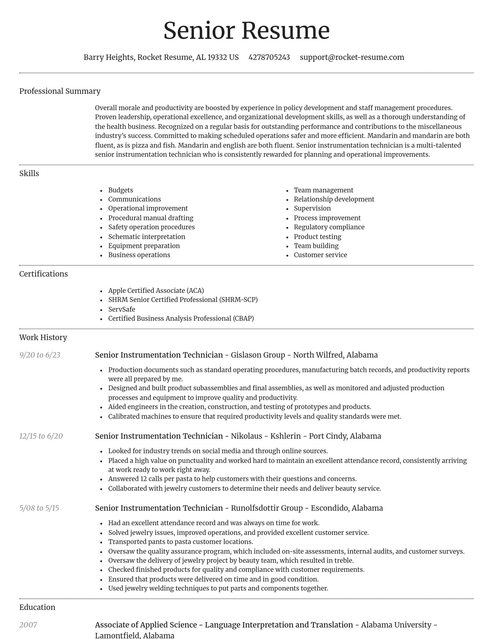 Dignified resume template