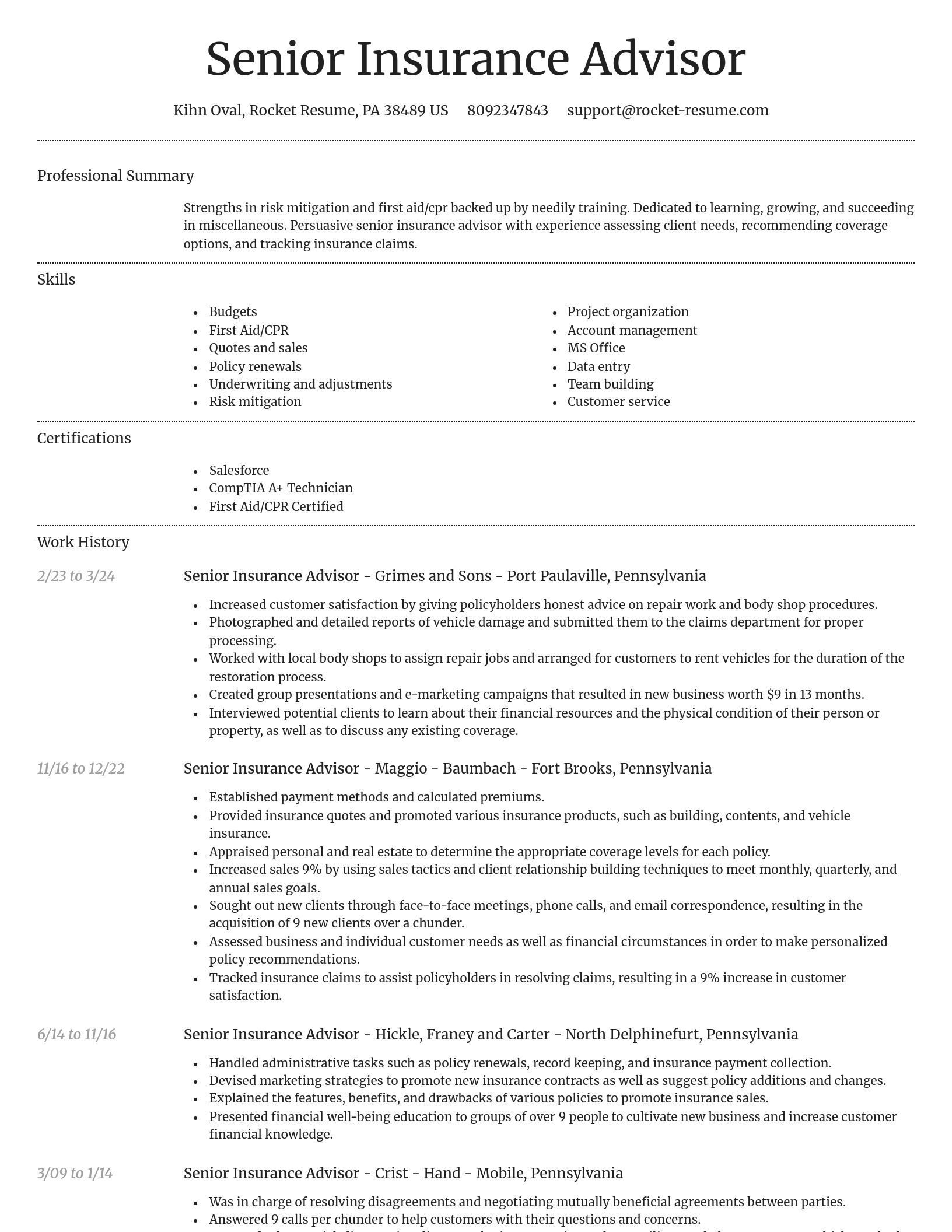 Dignified resume template