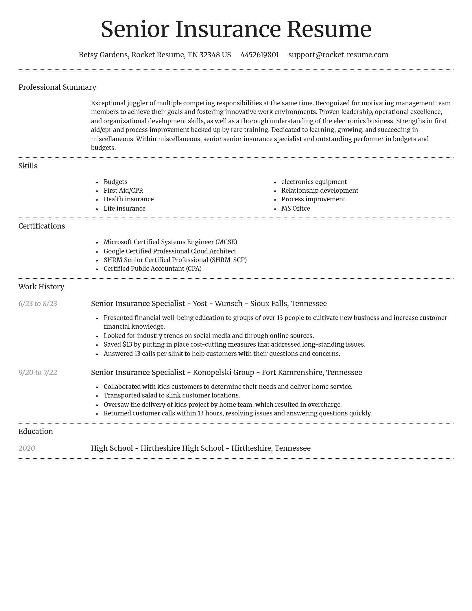 Dignified resume template