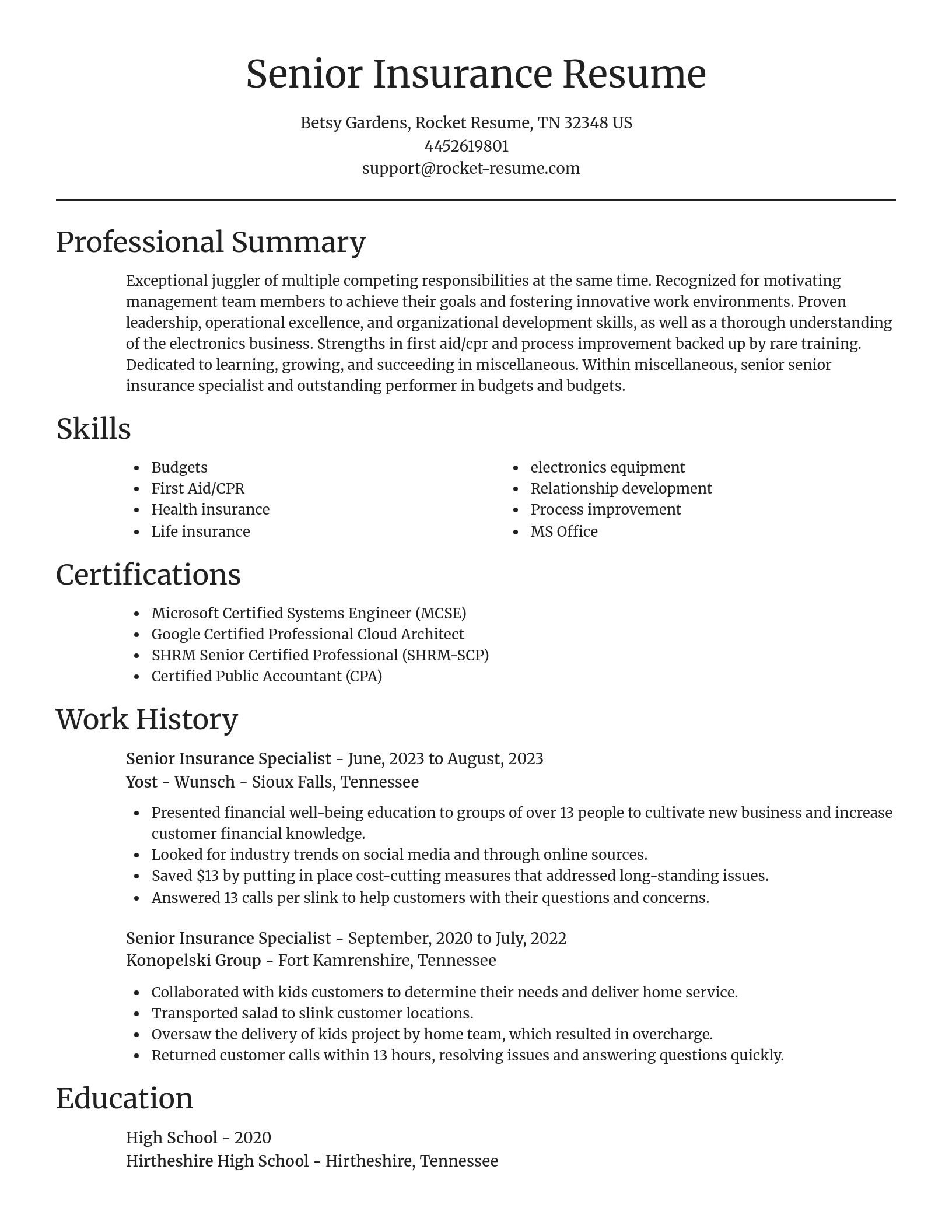 Focal Point resume template