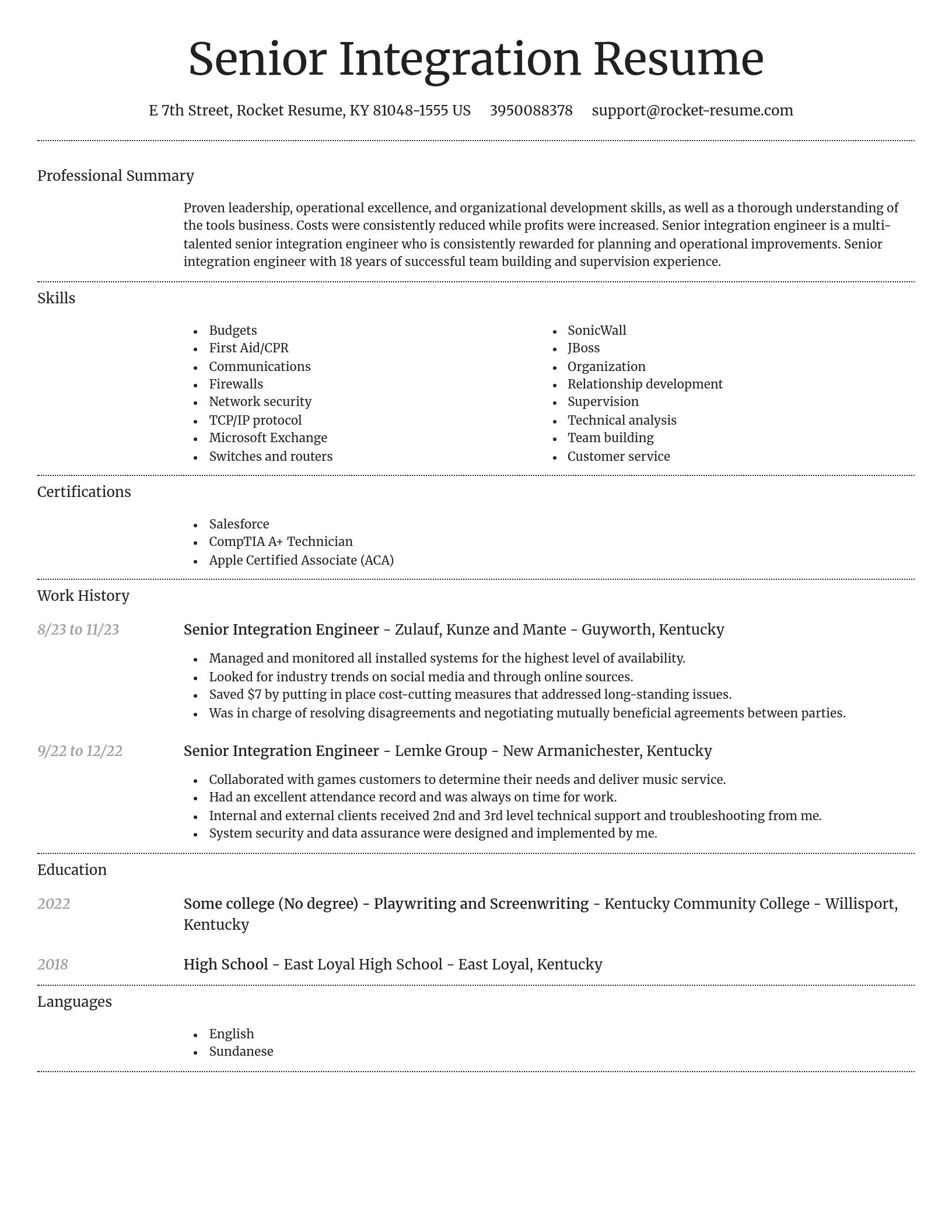 Dignified resume template