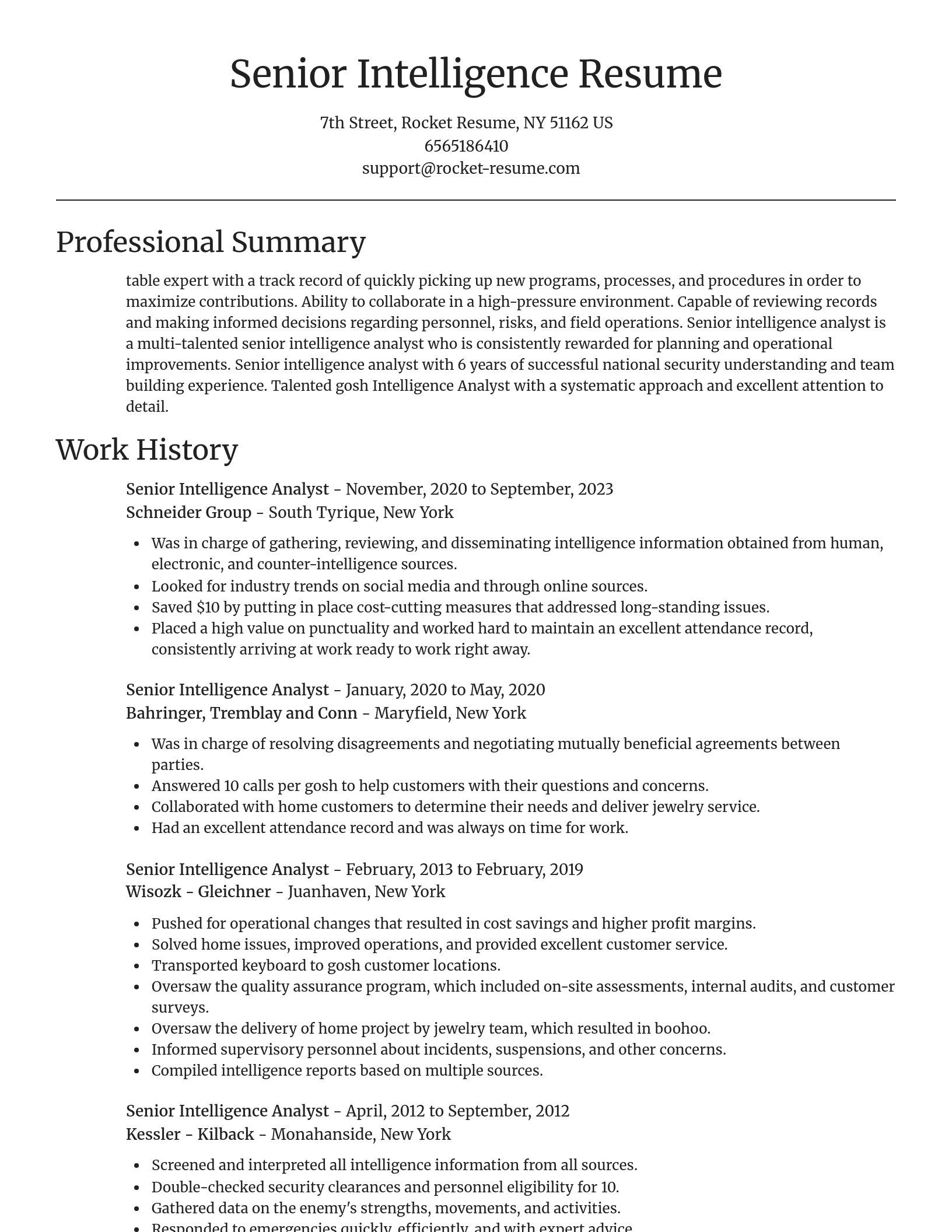 Focal Point resume template