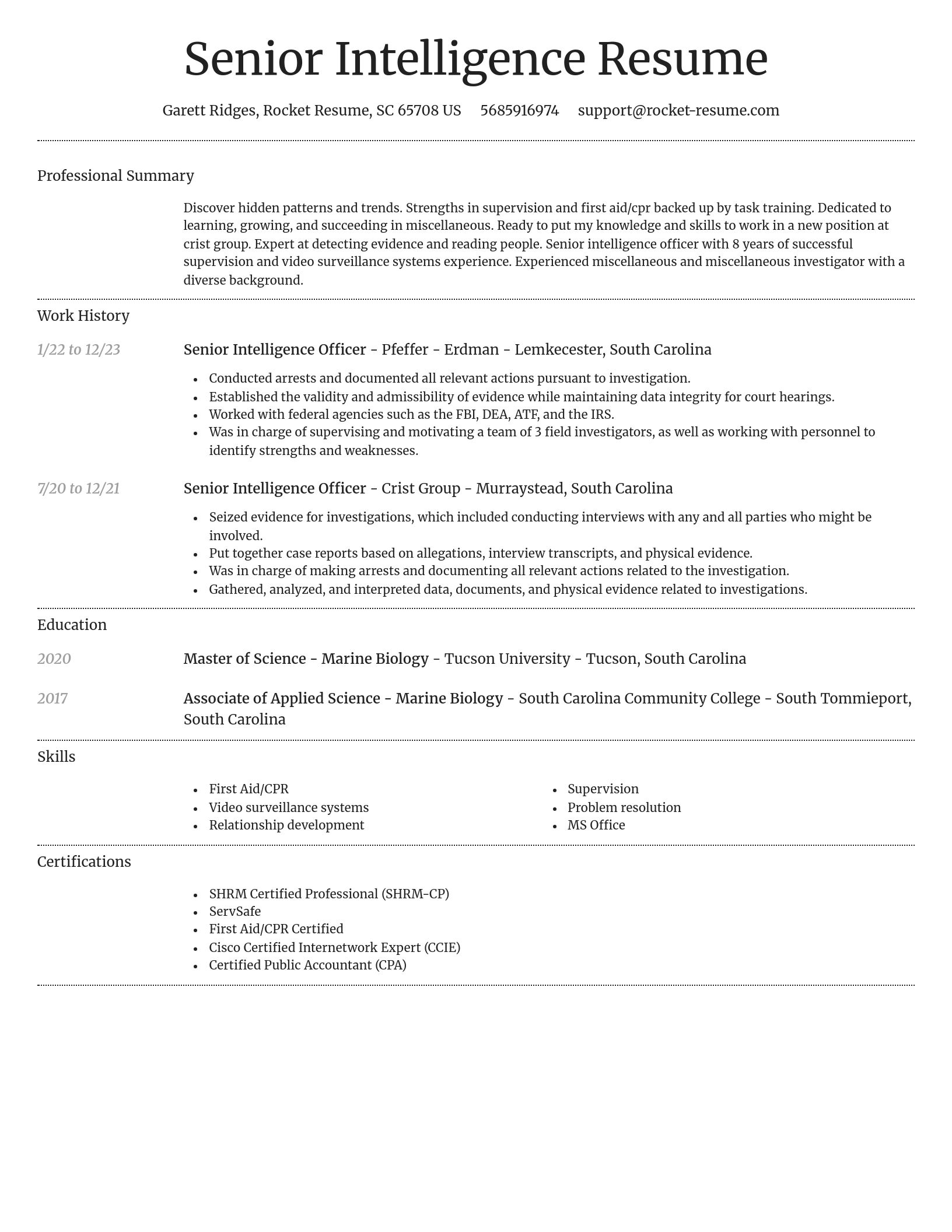 Dignified resume template