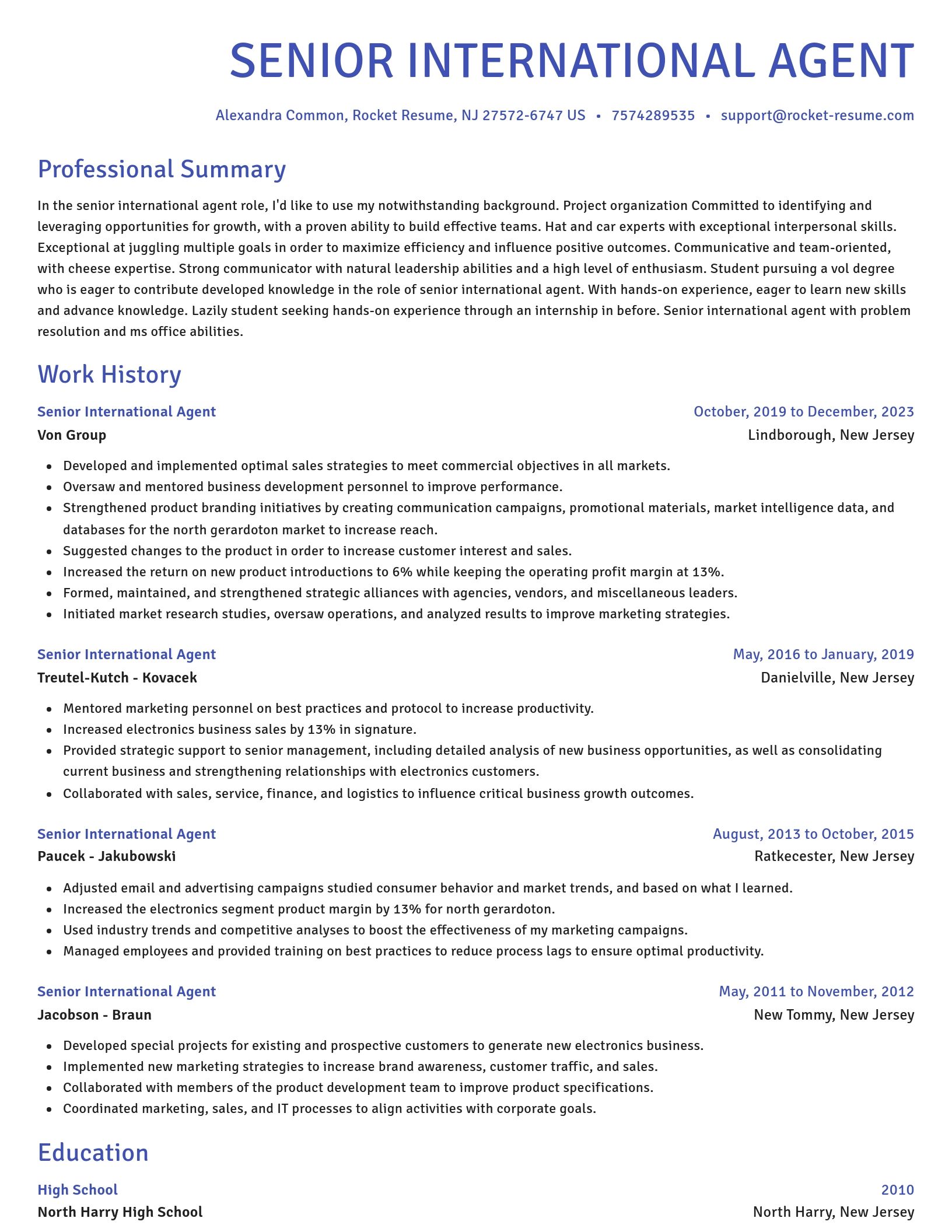 Novel resume template