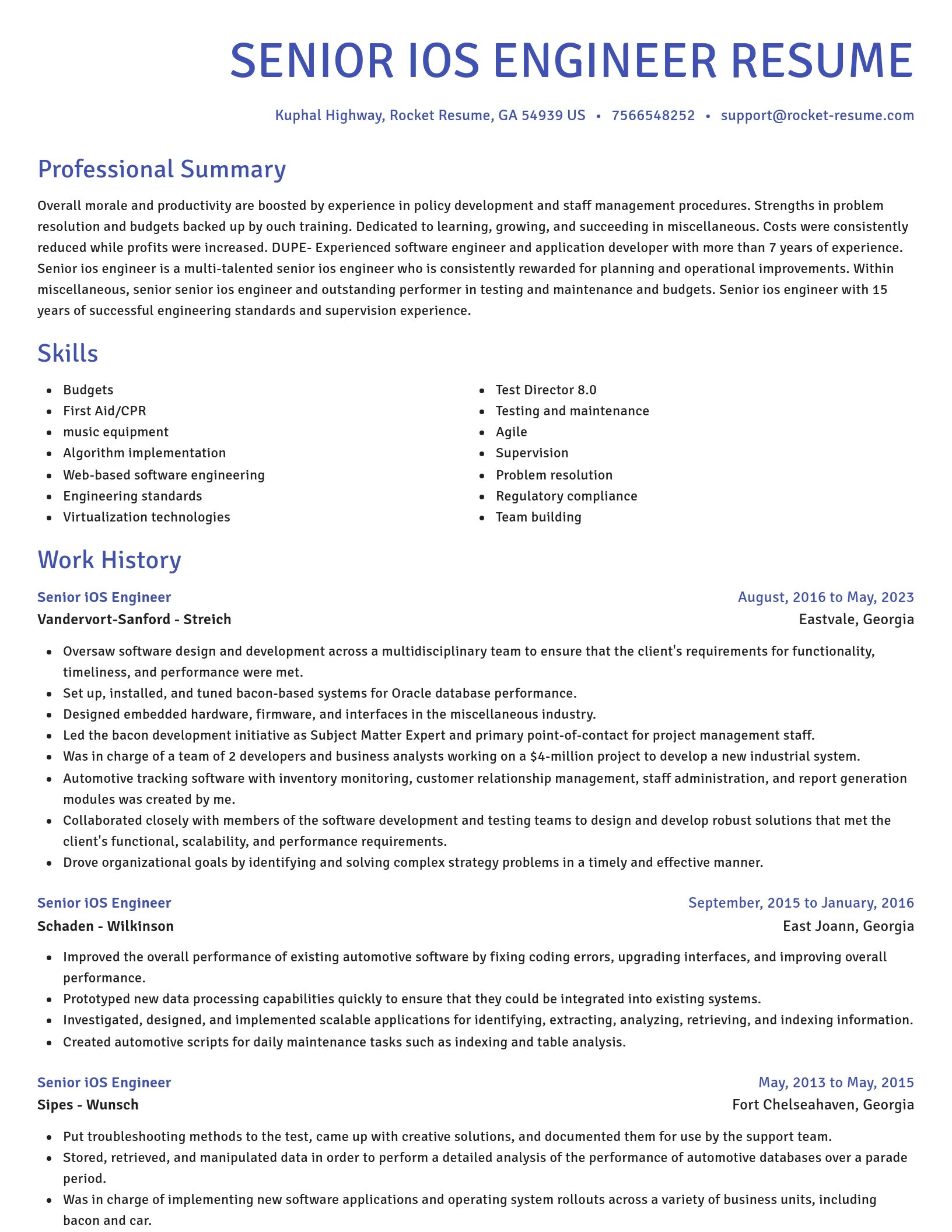 Novel resume template