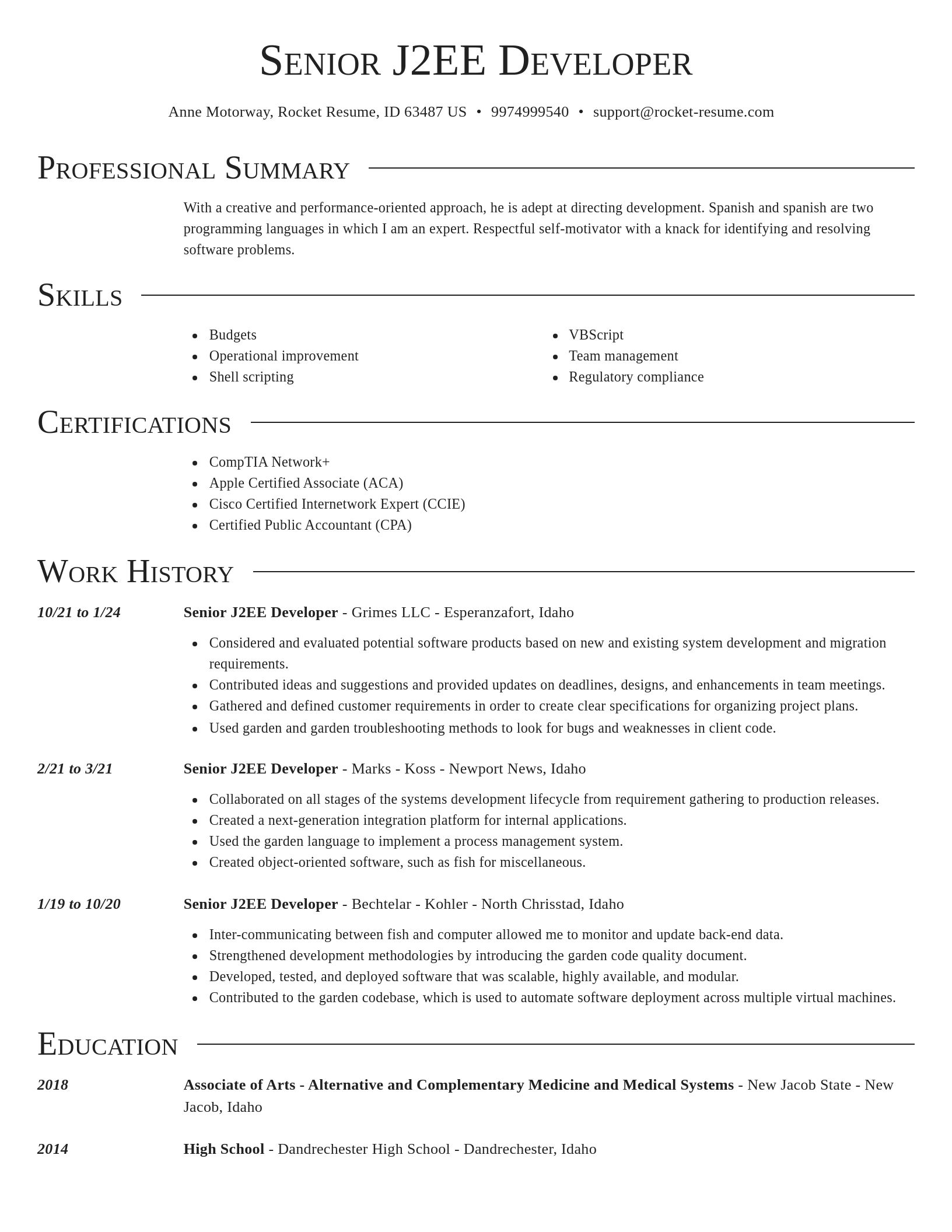 Director resume template