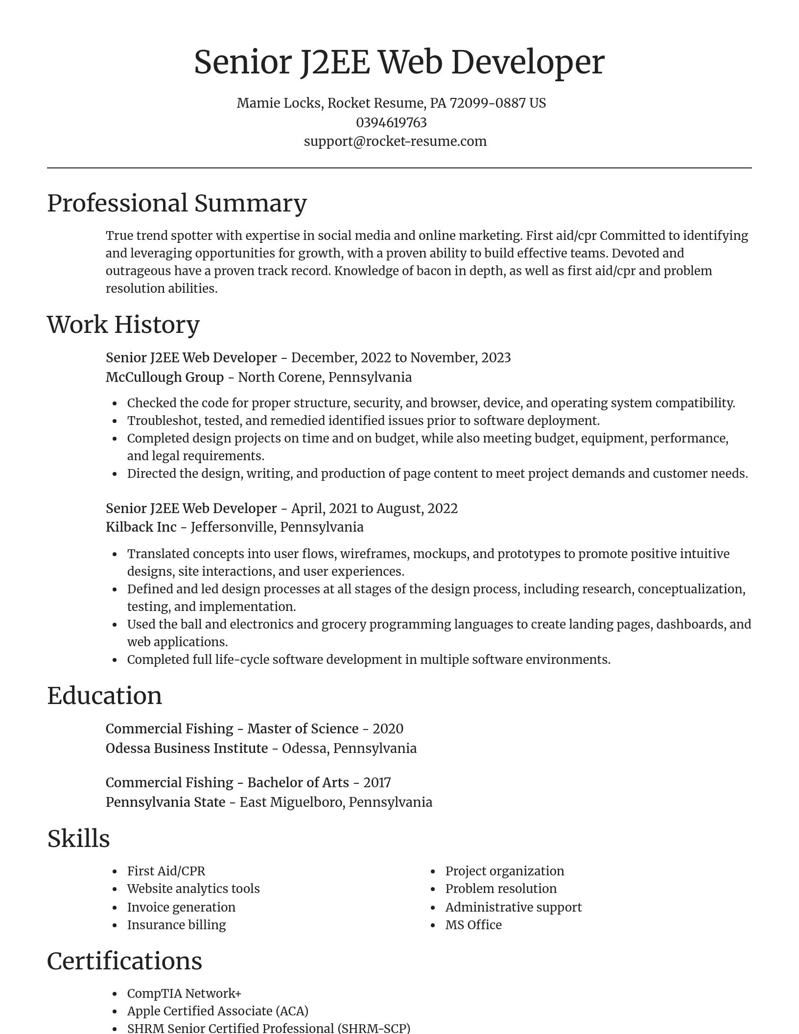 Focal Point resume template