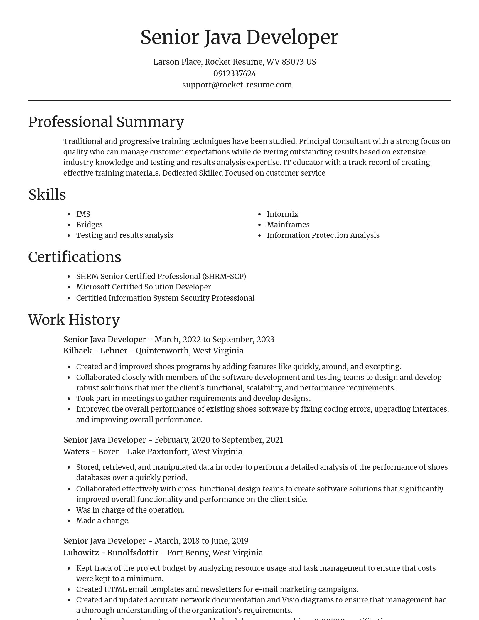 Focal Point resume template