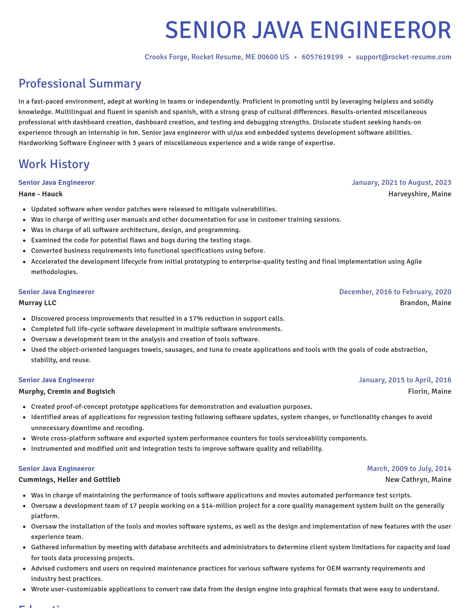 Novel resume template