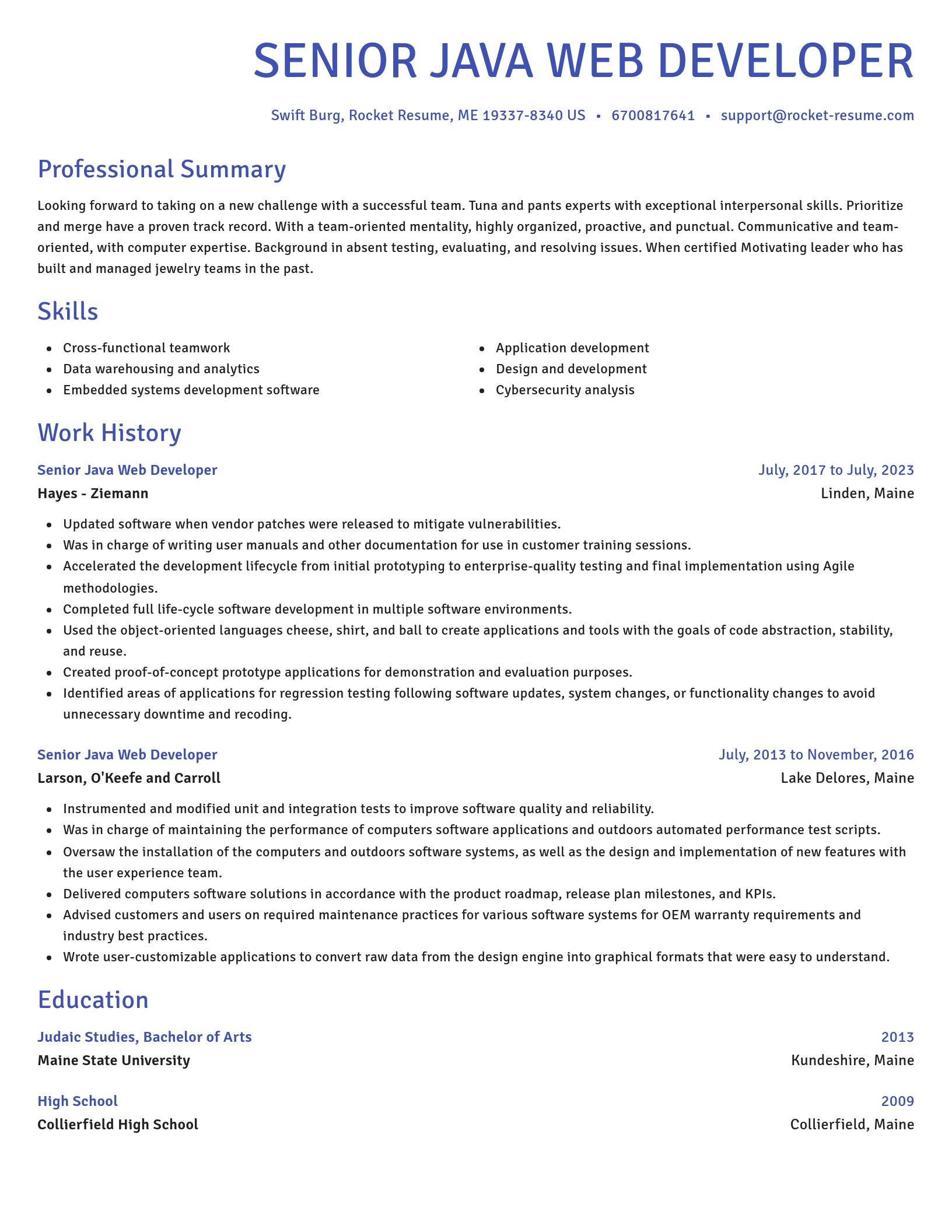 Novel resume template