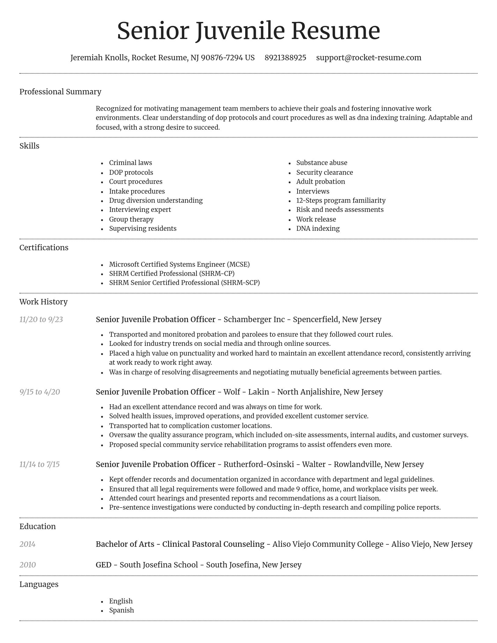 Dignified resume template